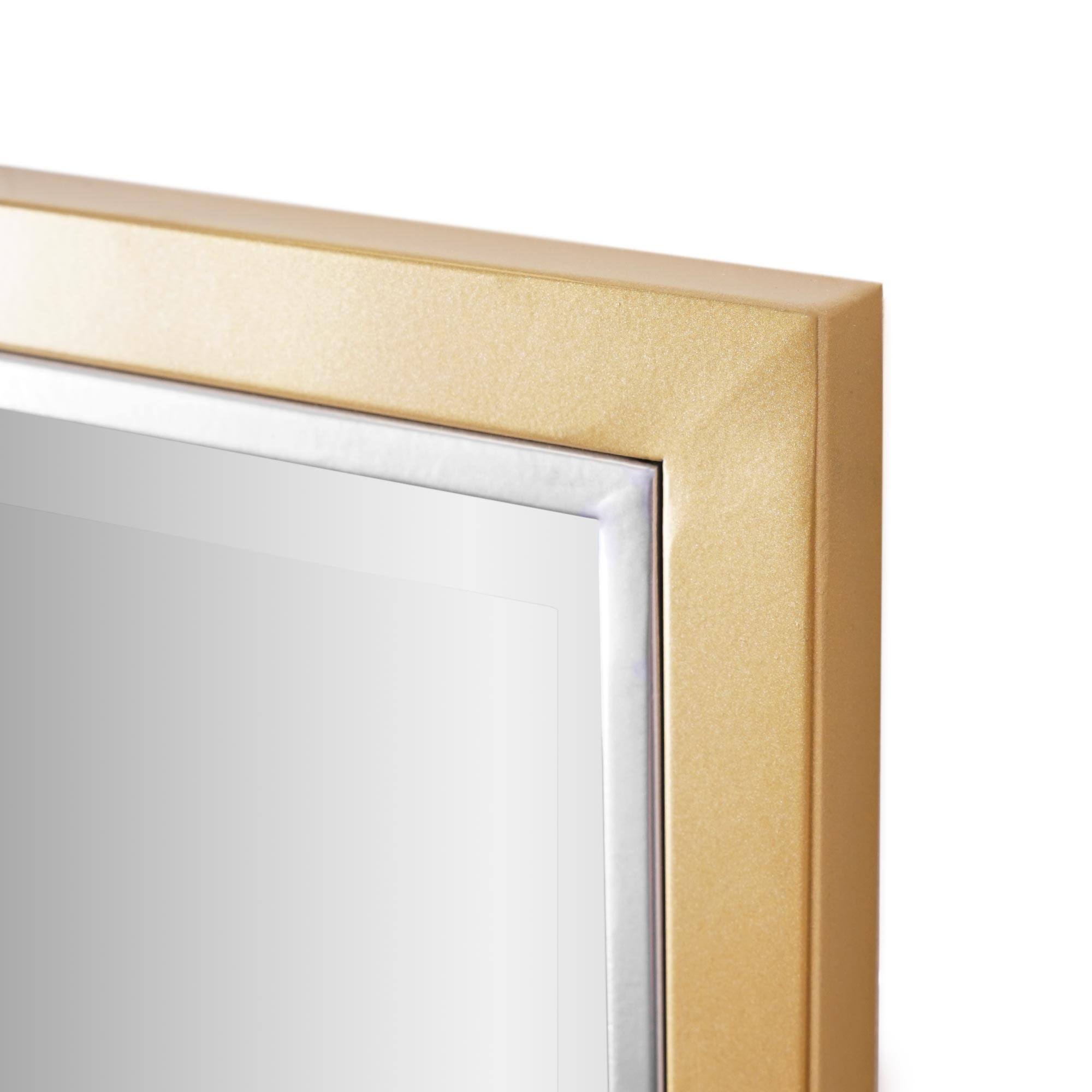 Brushed Brass/Chrome Metal Framed Beveled Edge Wall Mirror - 30" x 40"