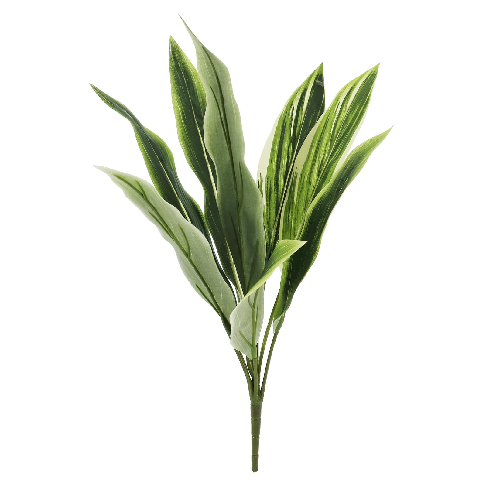 20&#x22; Green &#x26; White Dracaena Bush by Ashland&#xAE;