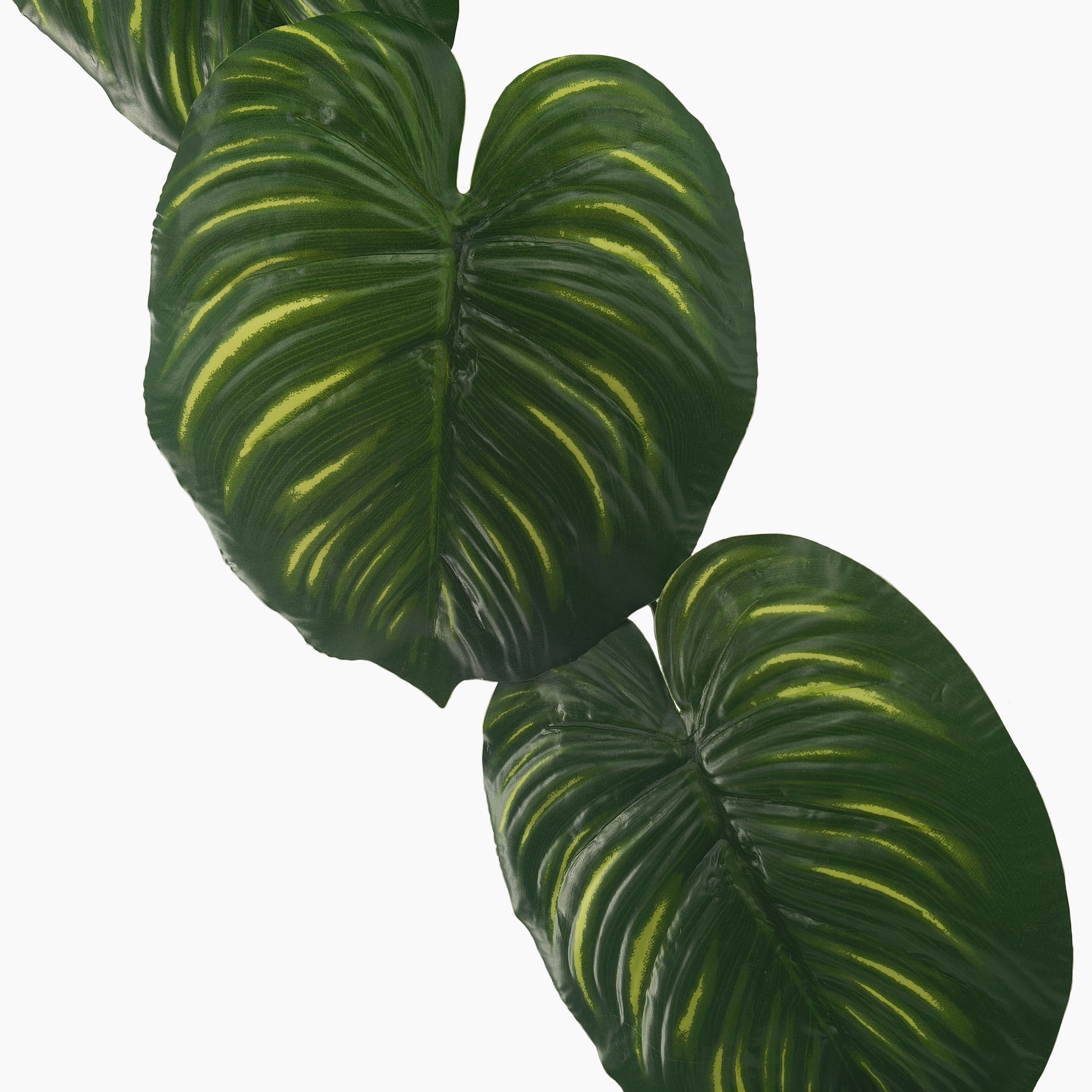6ft. Green Calathea Garland by Ashland&#xAE;