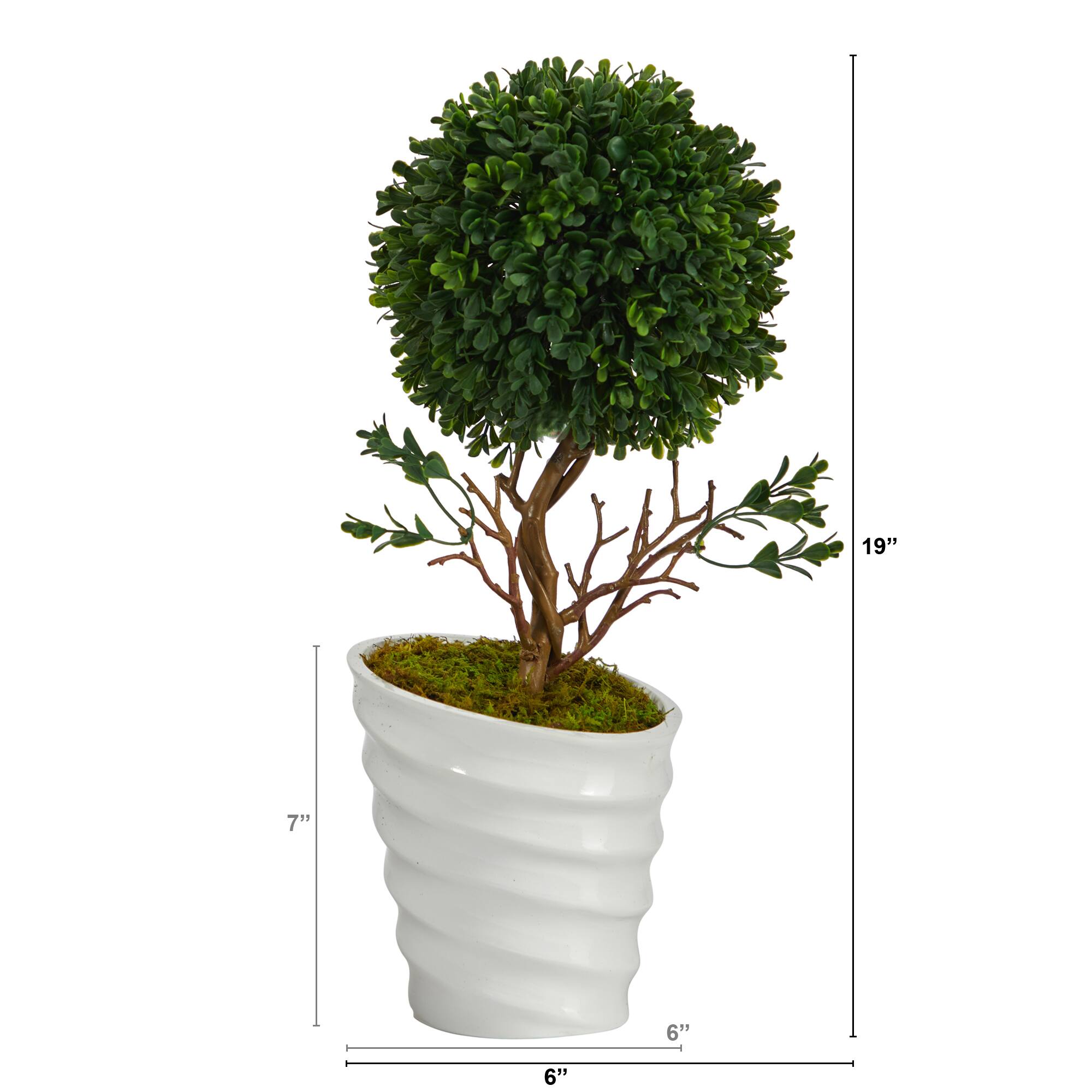 19" Boxwood Topiary Tree in White Vase