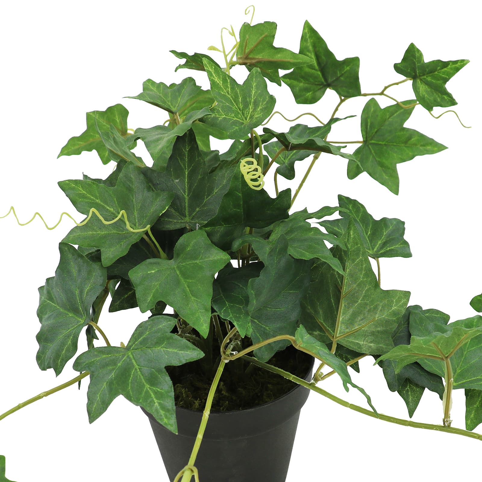 18&#x22; Dripping Ivy Plant by Ashland&#xAE;