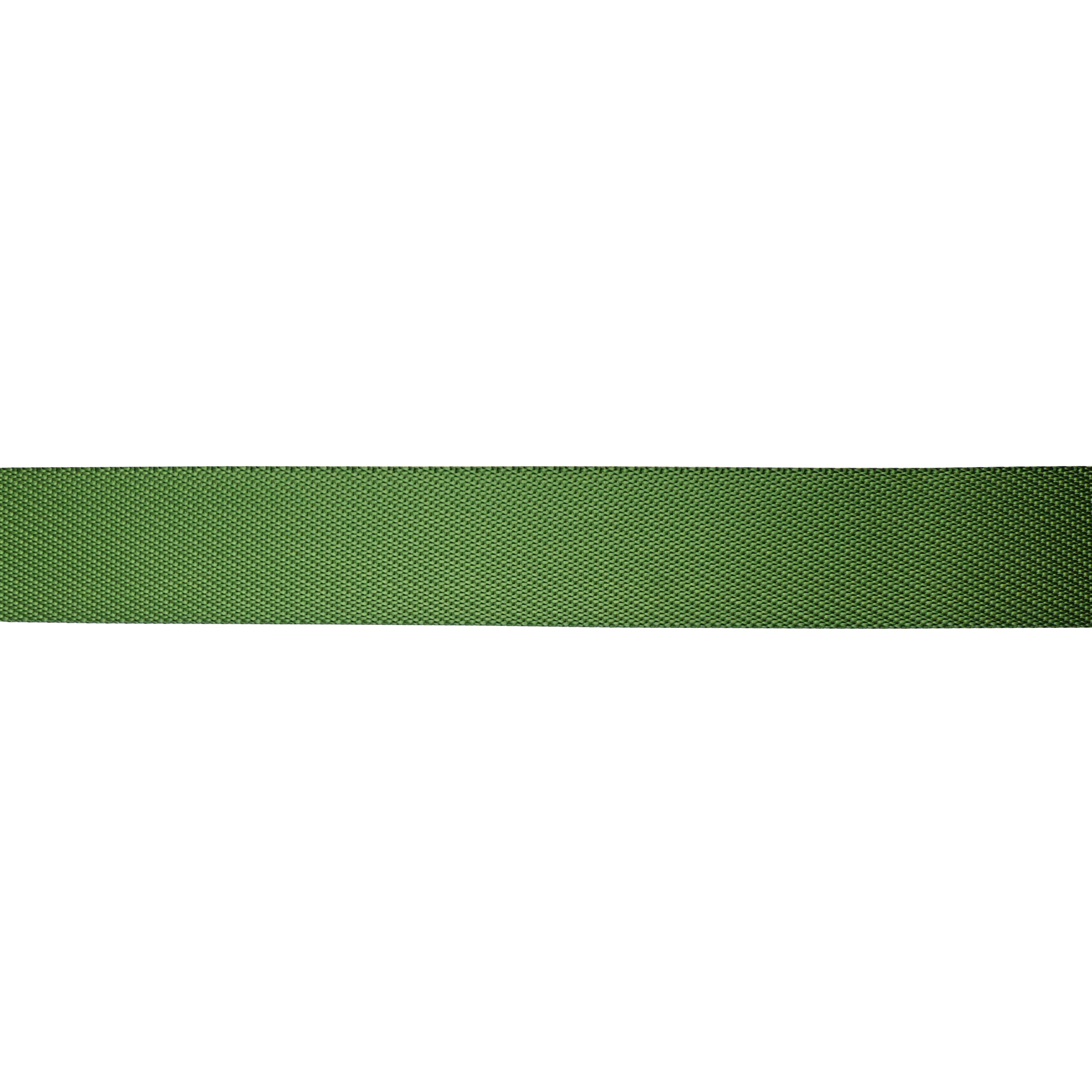 1.5&#x22; Belting Trim by Celebrate It&#xAE;