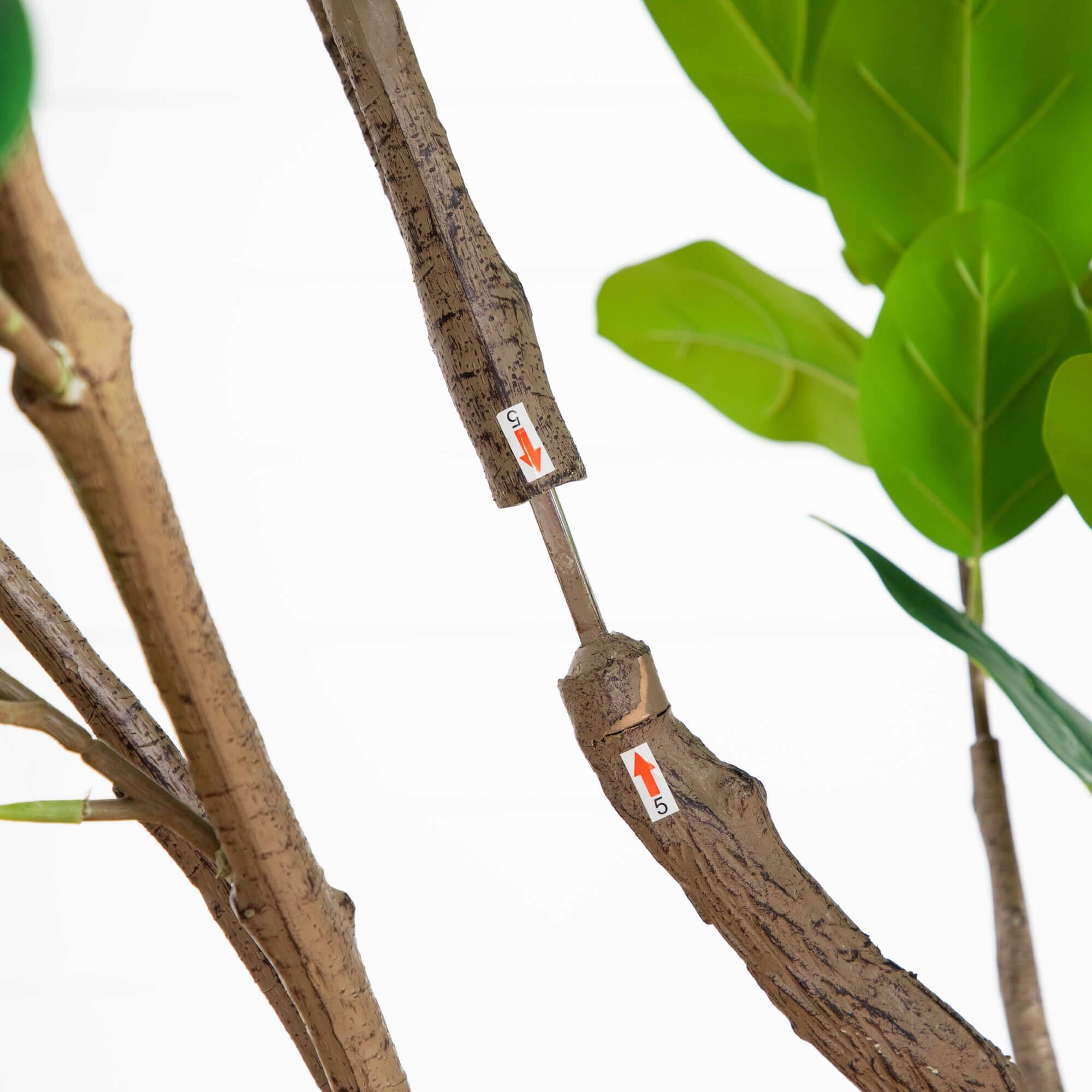 6ft. Artificial Audrey Ficus Leaf Tree in White Decorative Planter