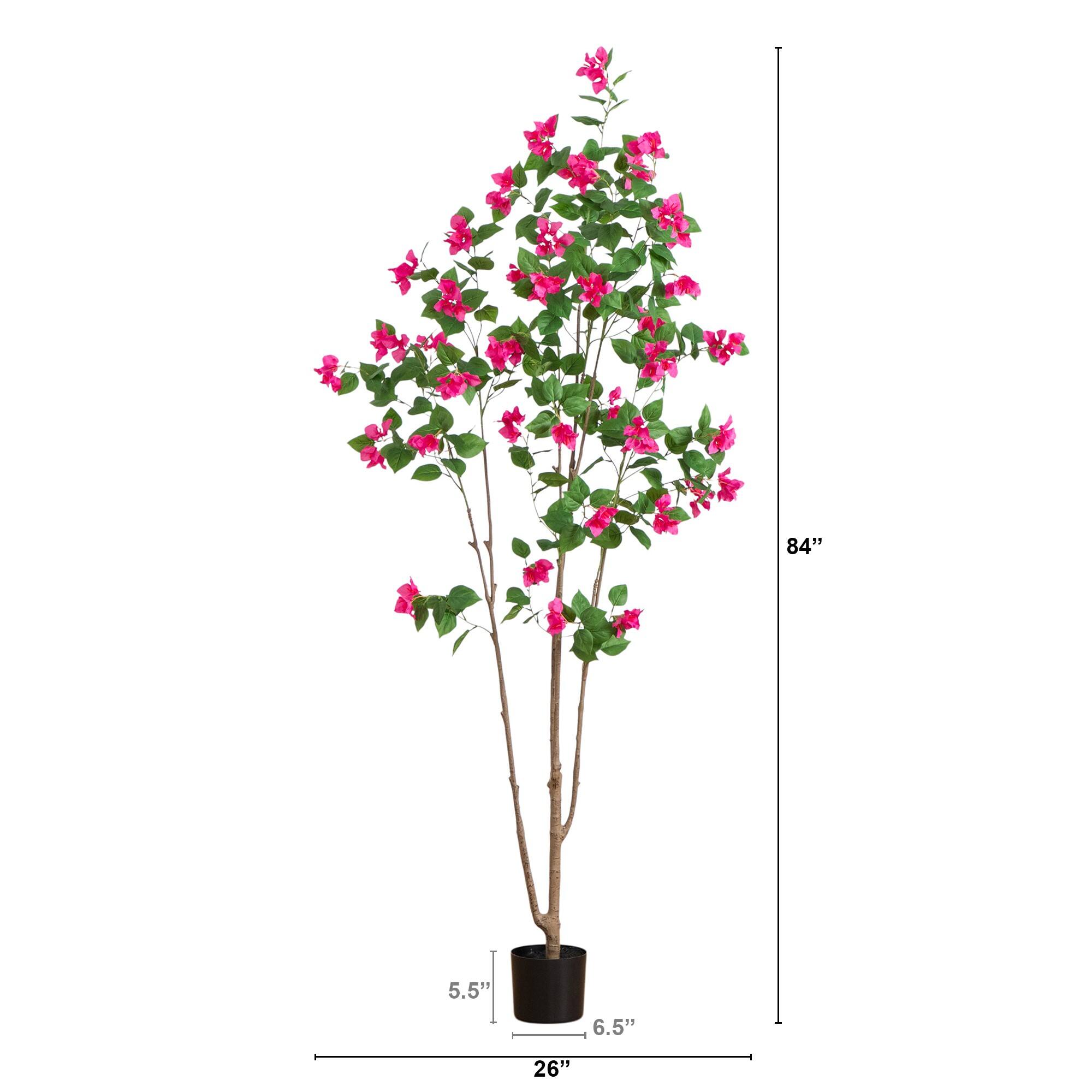 7ft. Potted Pink Minimalist Bougainvillea Tree