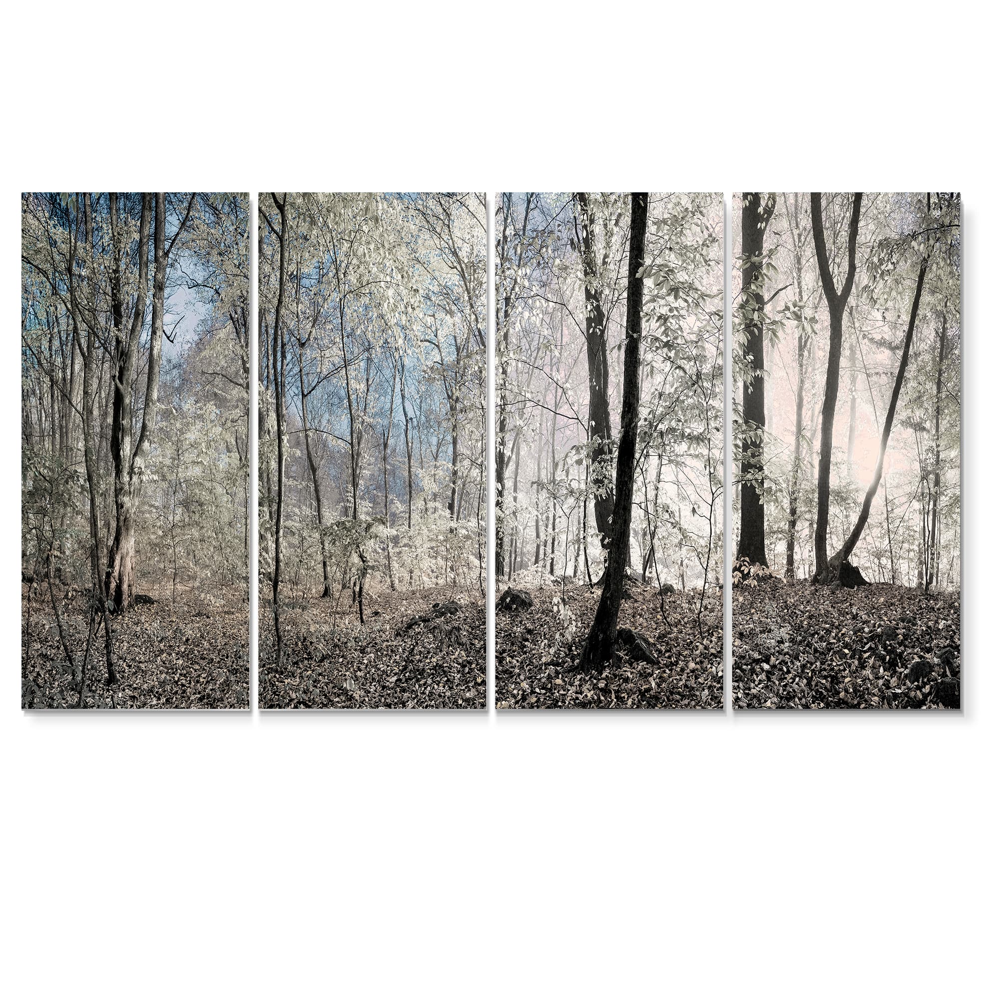 Designart - Dark Morning in Forest Panorama - Landscape Canvas Art Print