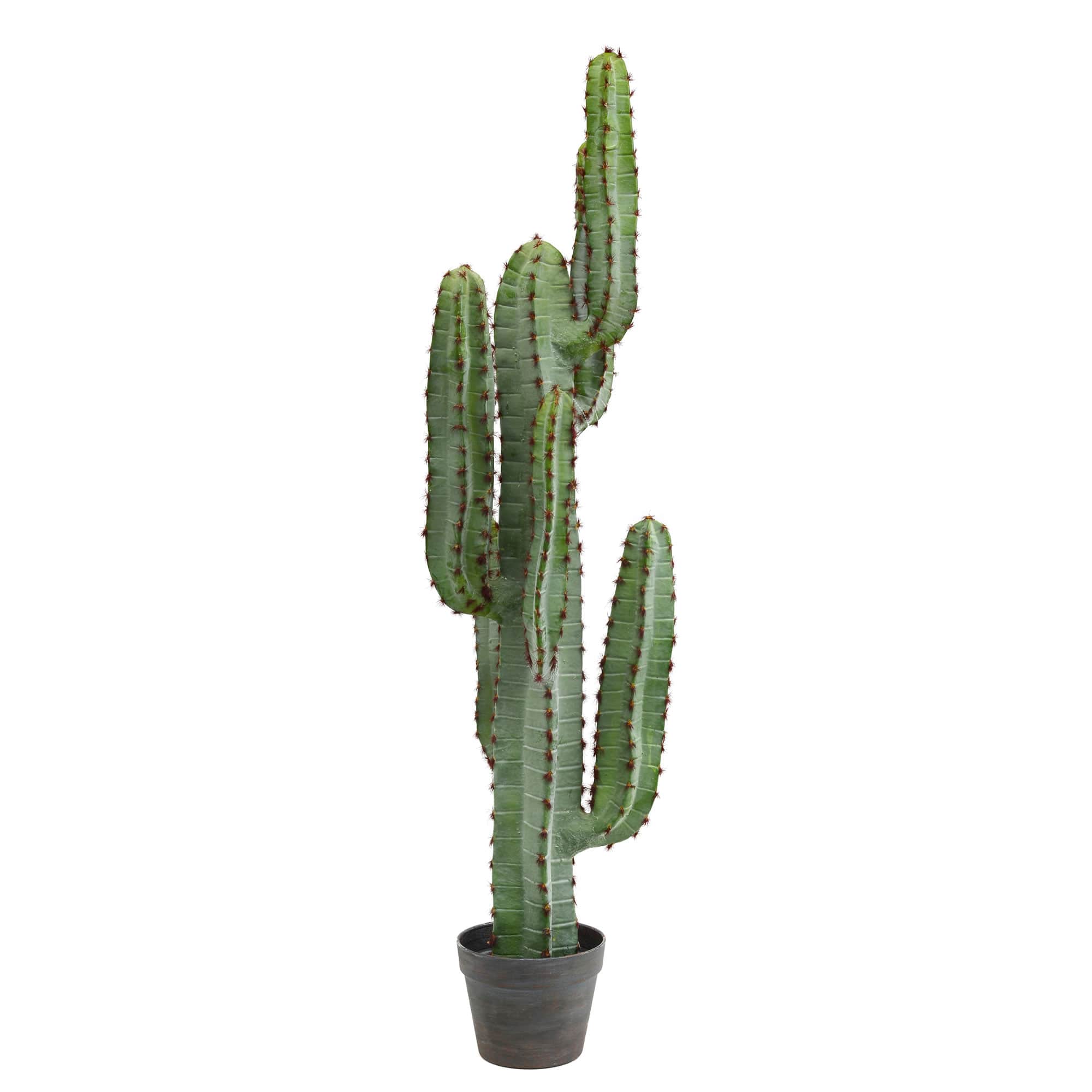 4ft. Potted Green Finger Cactus | Michaels