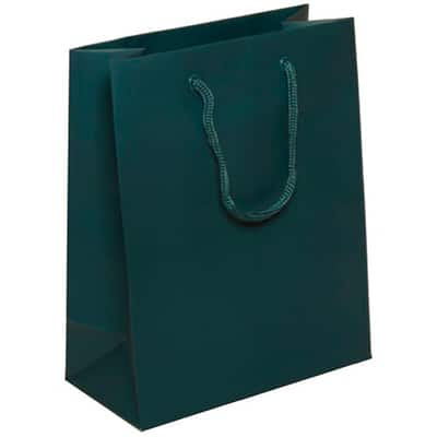 JAM Paper Medium Gift Bags with Rope Handles, 100ct. | Michaels