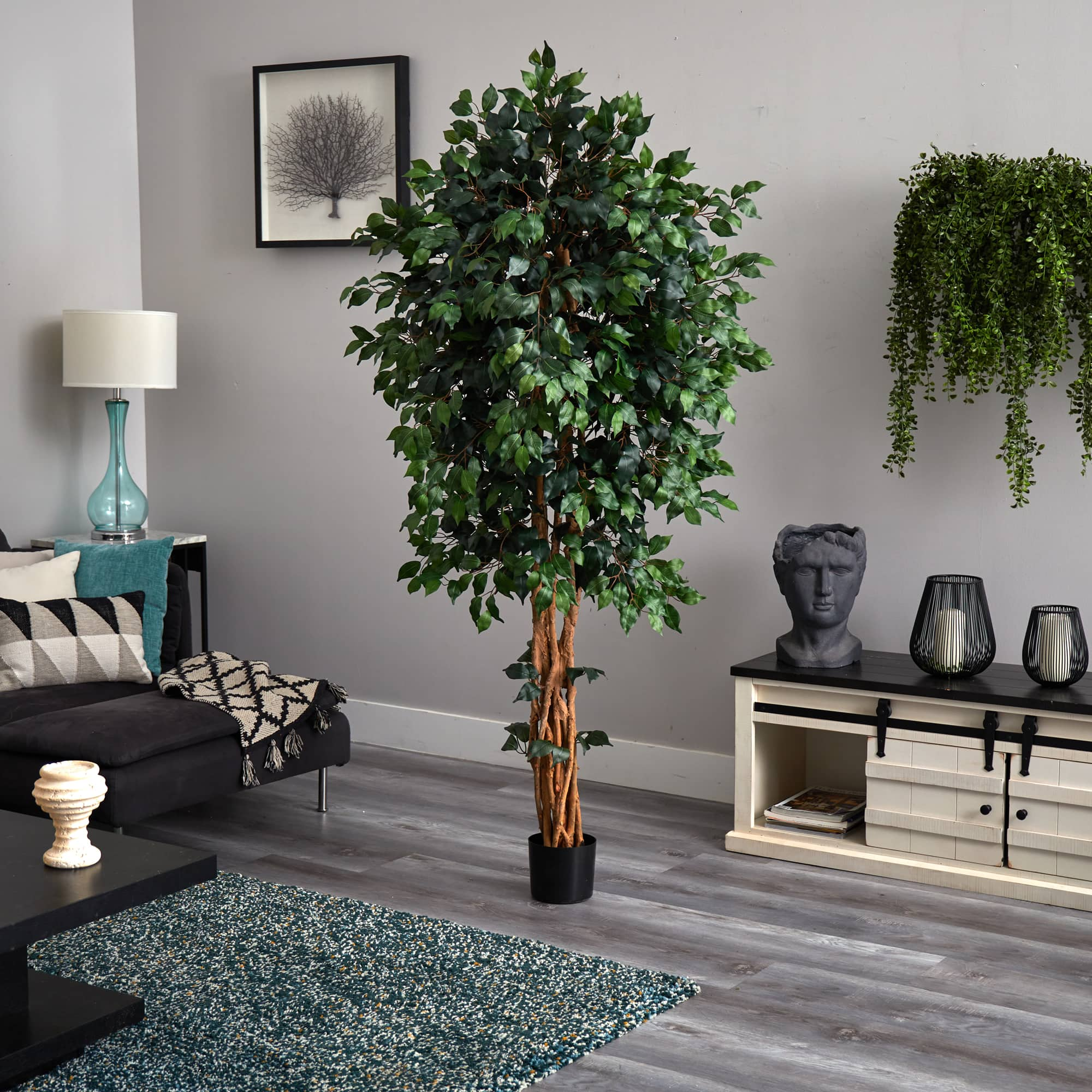 6ft. Potted Palace Style Ficus Tree