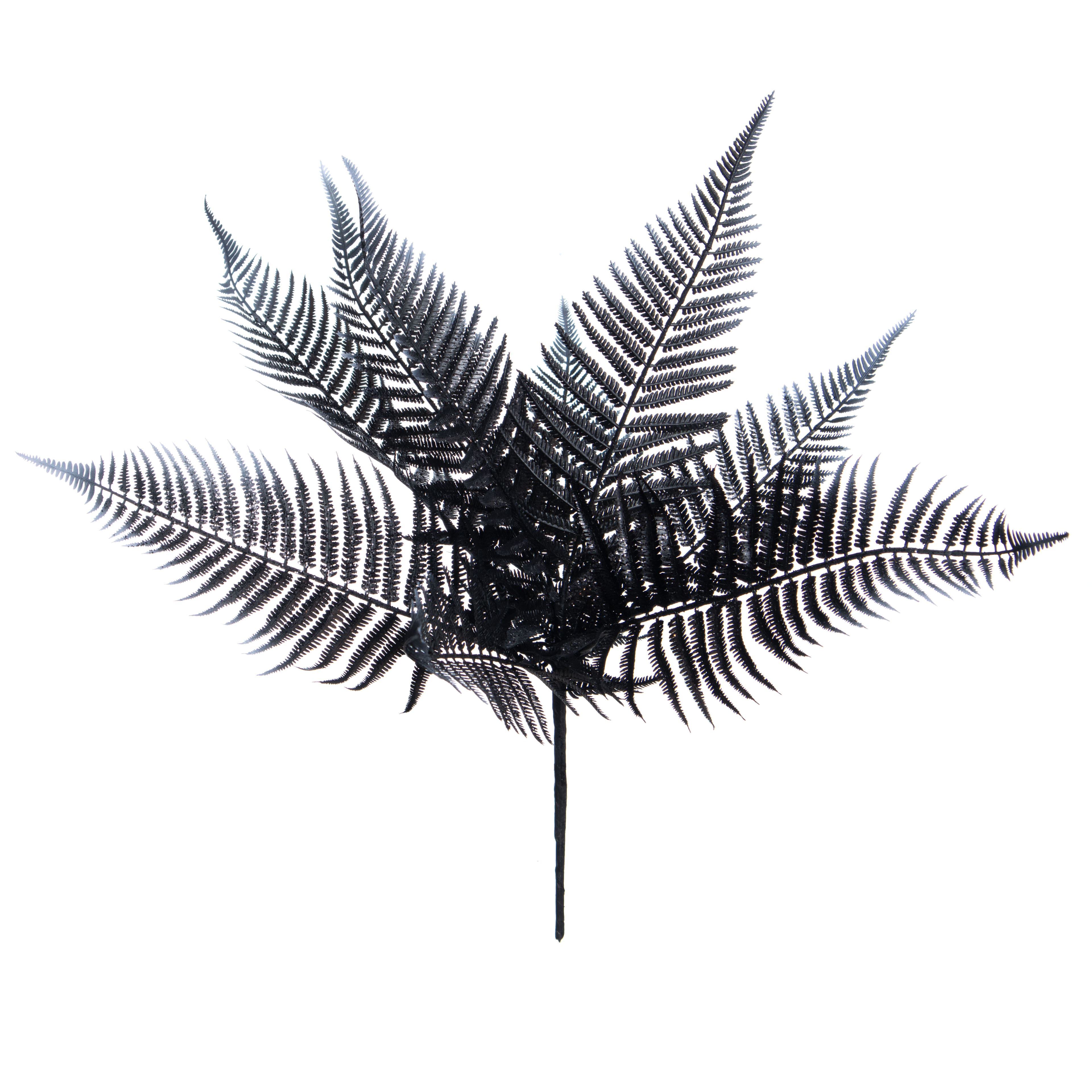 17&#x22; Black Halloween Fern Bush by Ashland&#xAE;