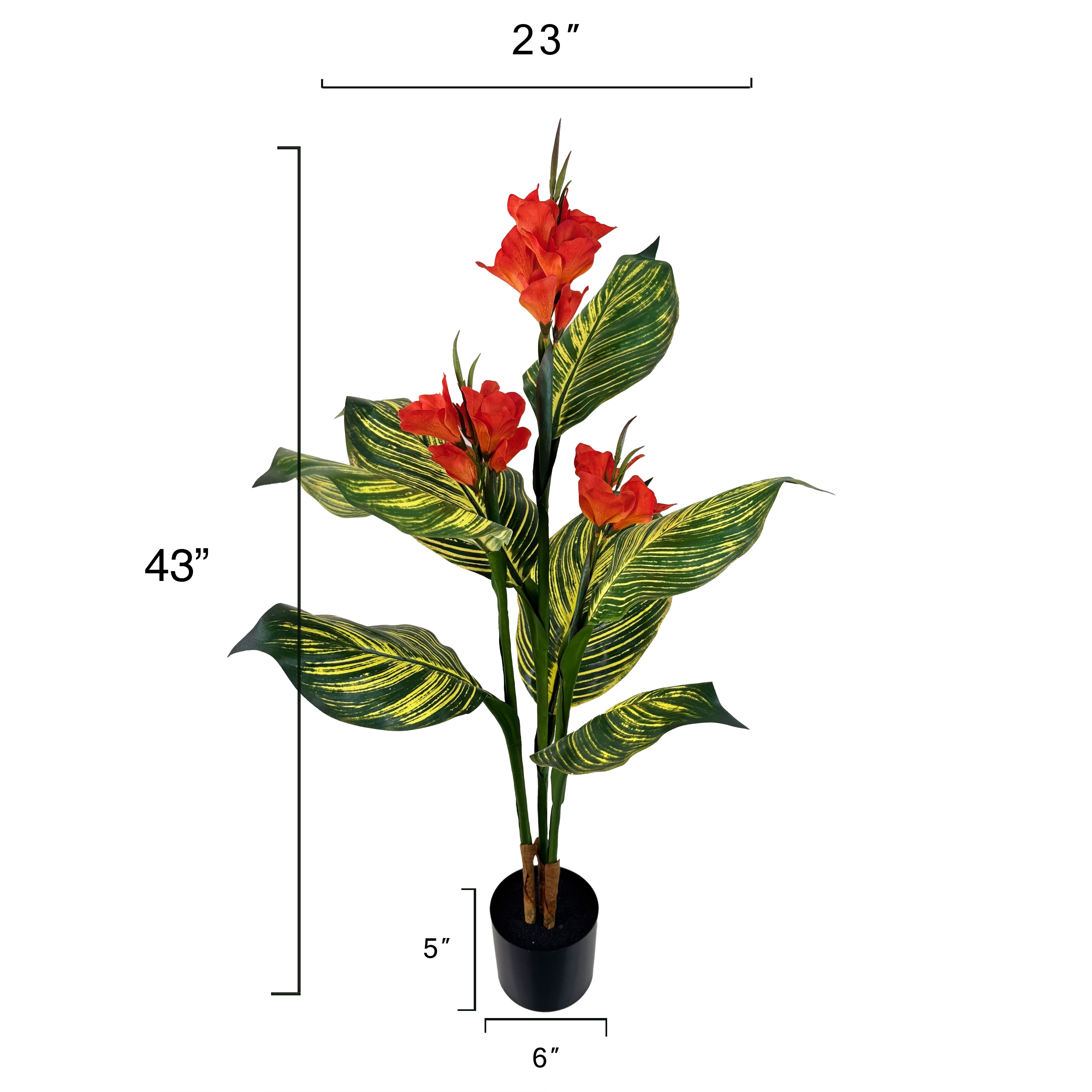 3.5ft. Potted Orange Canna Lily Plant by Ashland&#xAE;