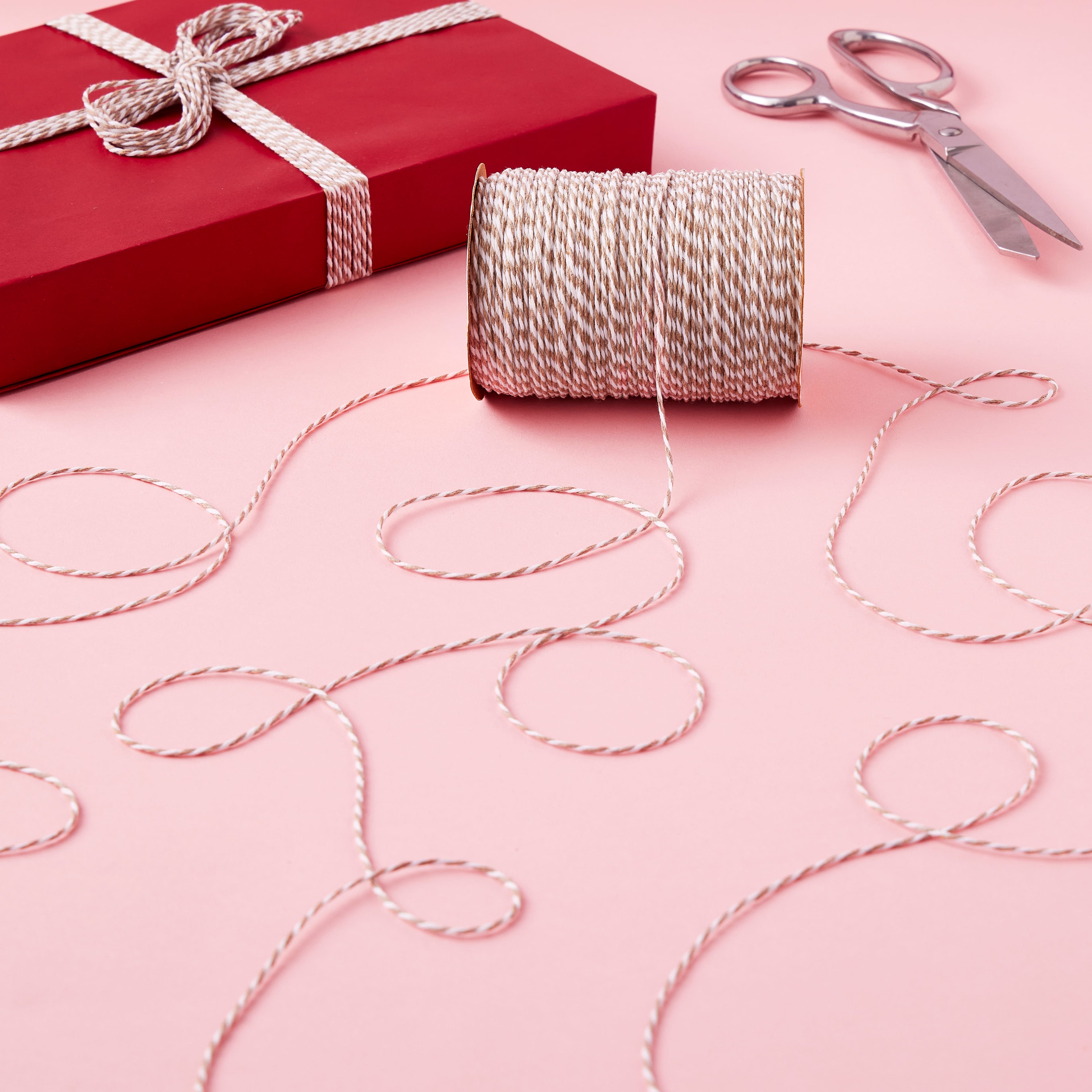 100yd. Twine by Celebrate It&#x2122;
