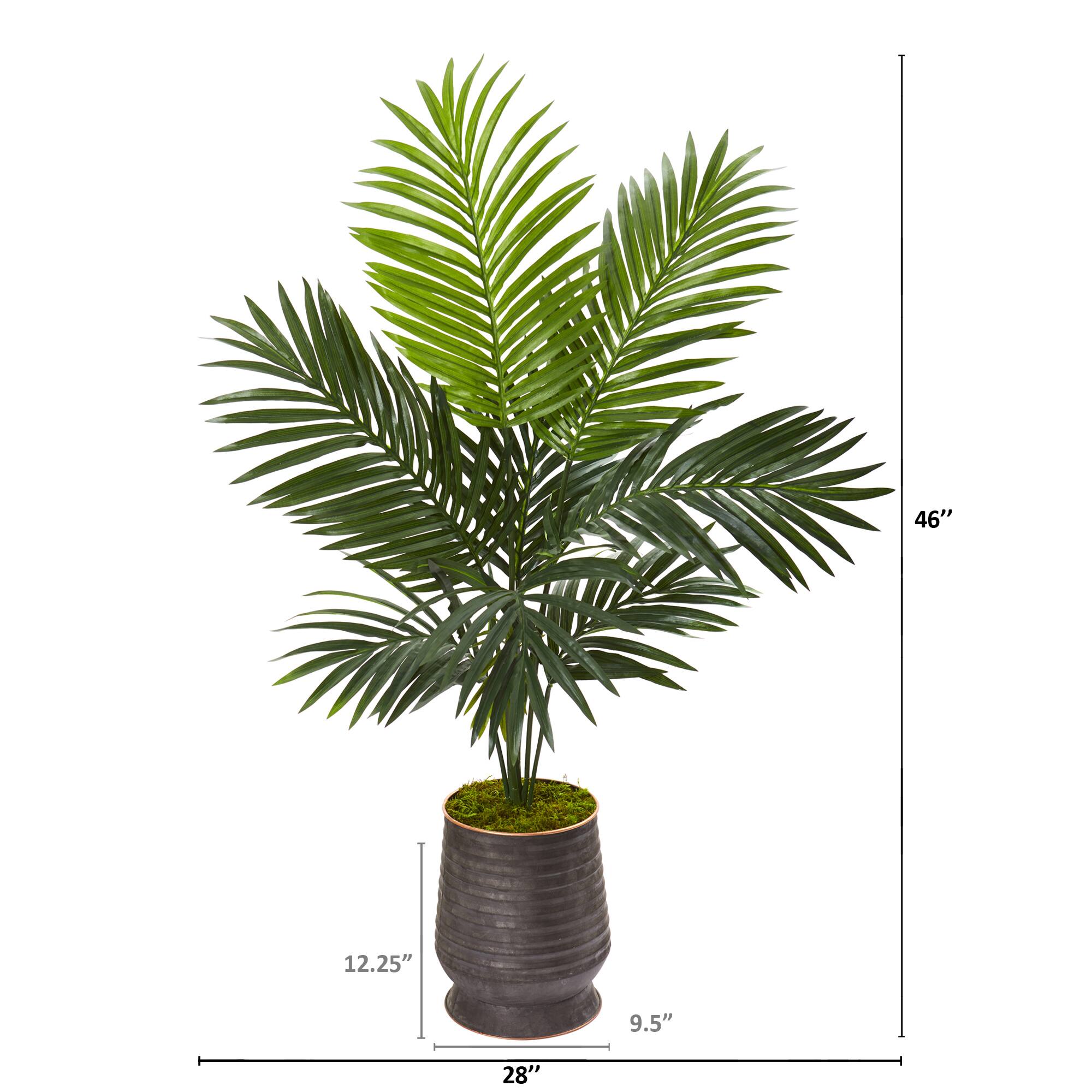 4ft. Kentia Palm Tree in Ribbed Metal Planter