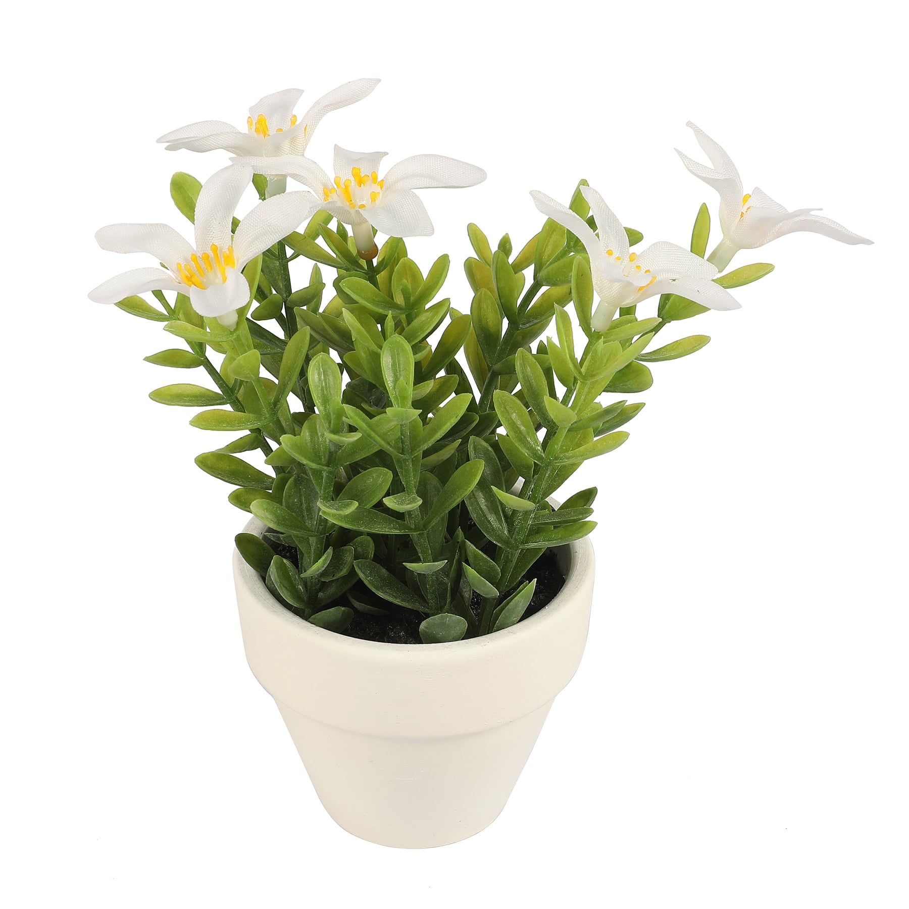 Mini Premade Boxwood Blooms in Terra Cotta Pots, 6ct. by Ashland&#xAE;