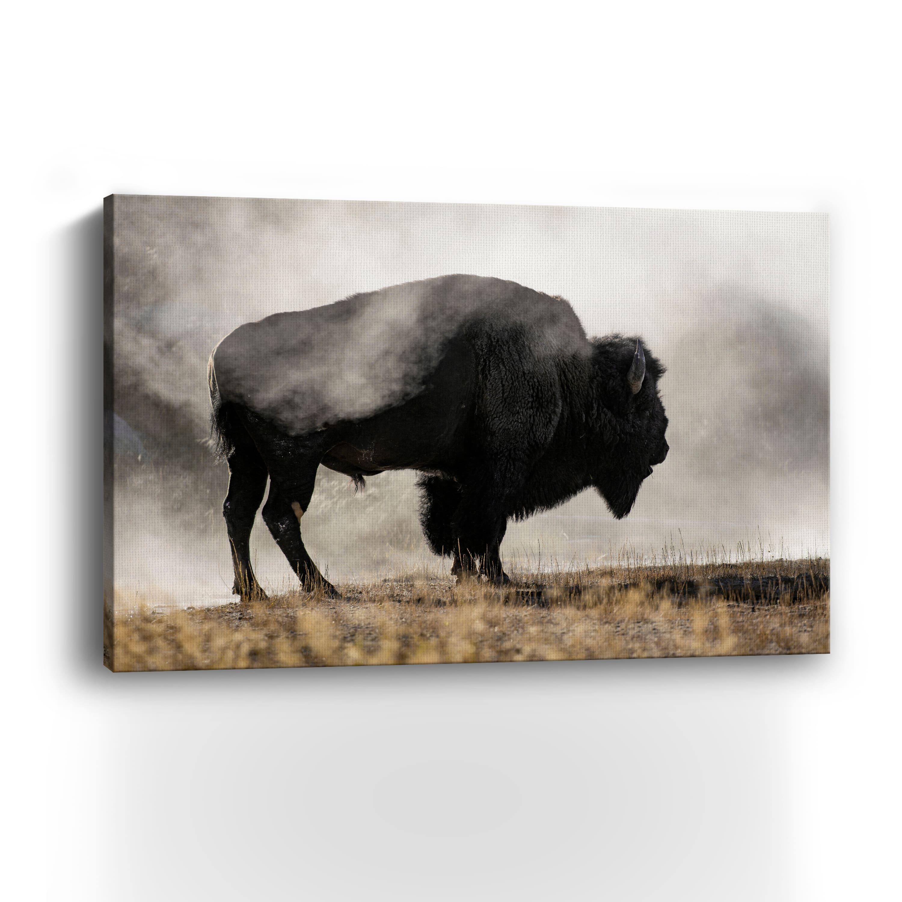 Geyser Basin Canvas Giclee