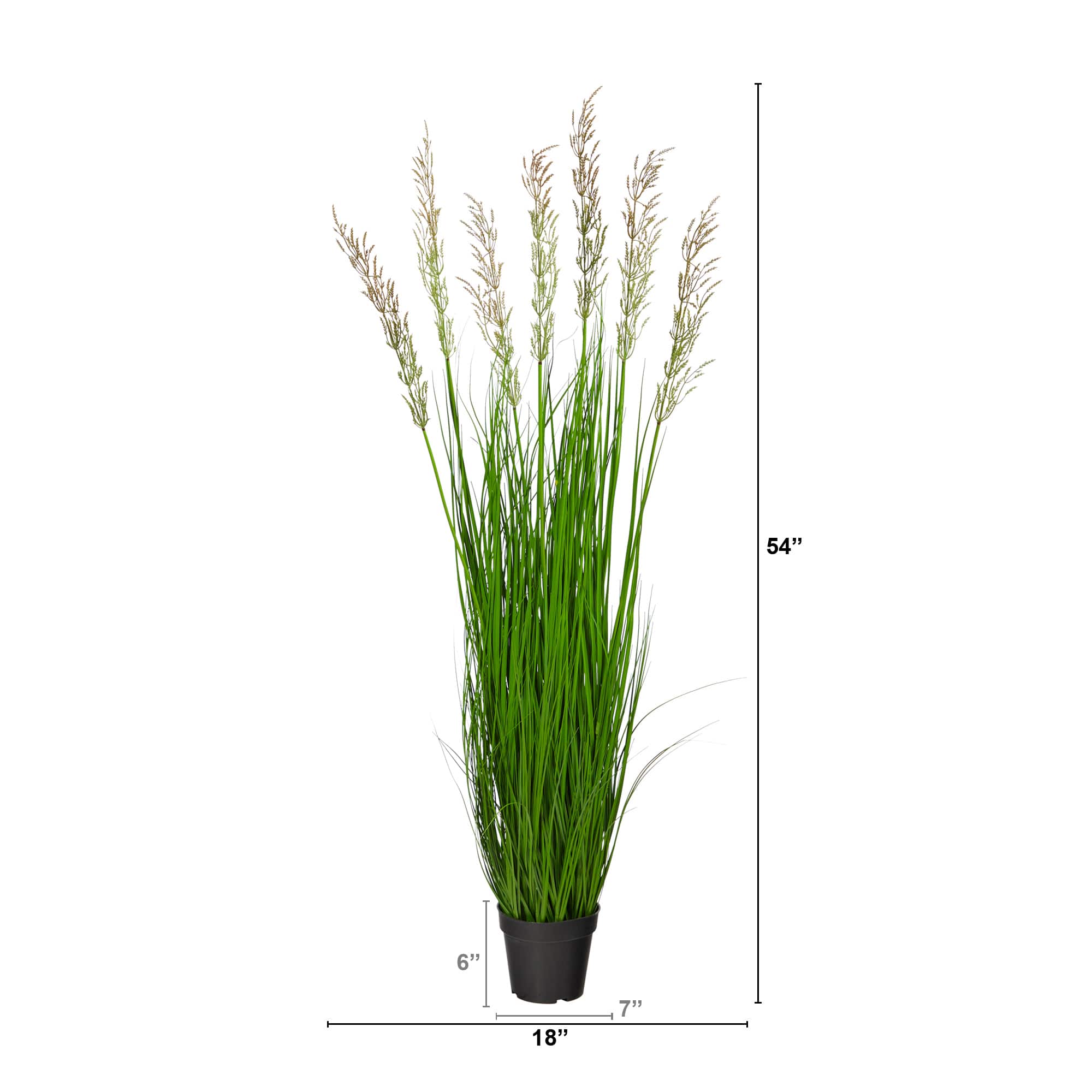 4.5ft. Potted Plume Grass