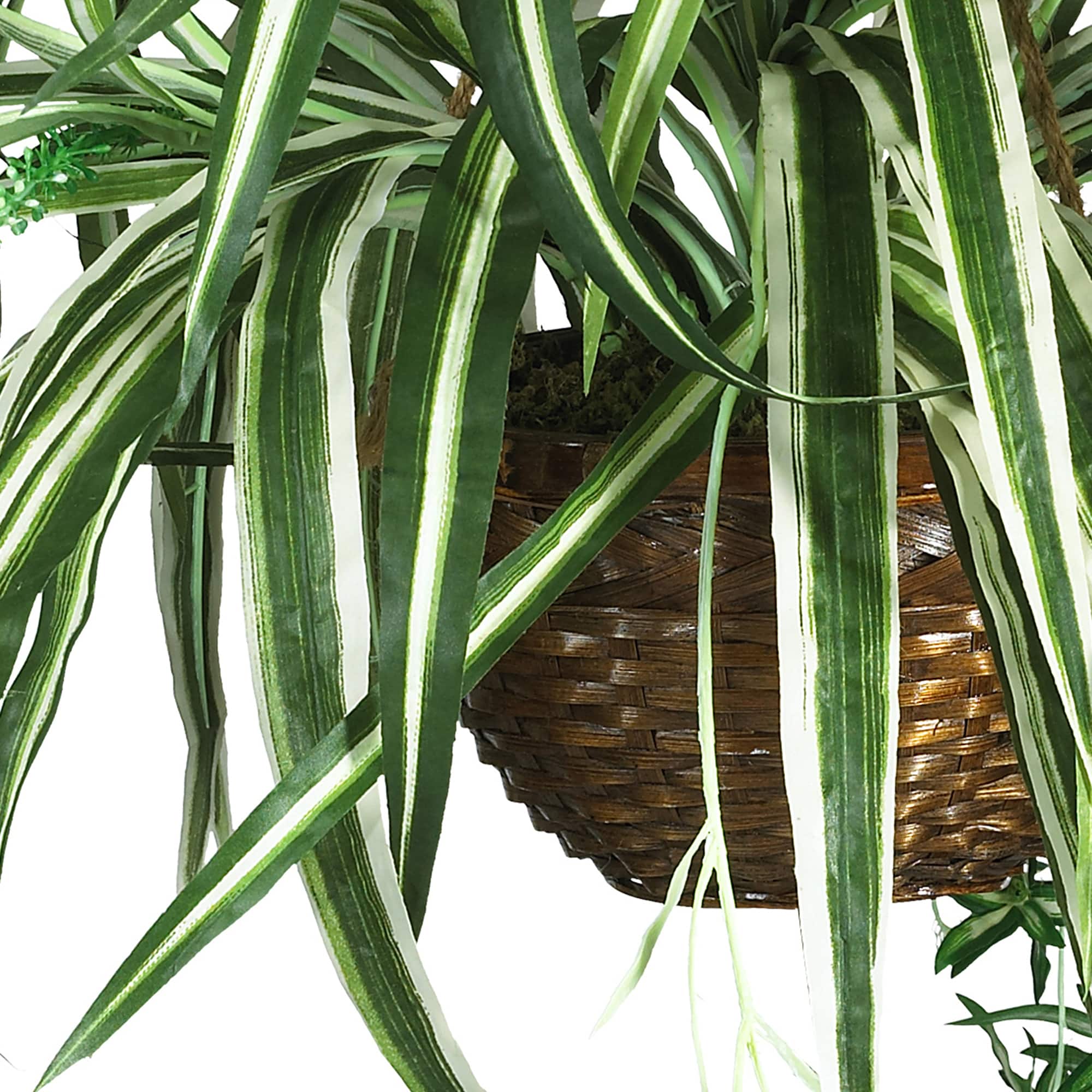 2ft. Spider Hanging Basket