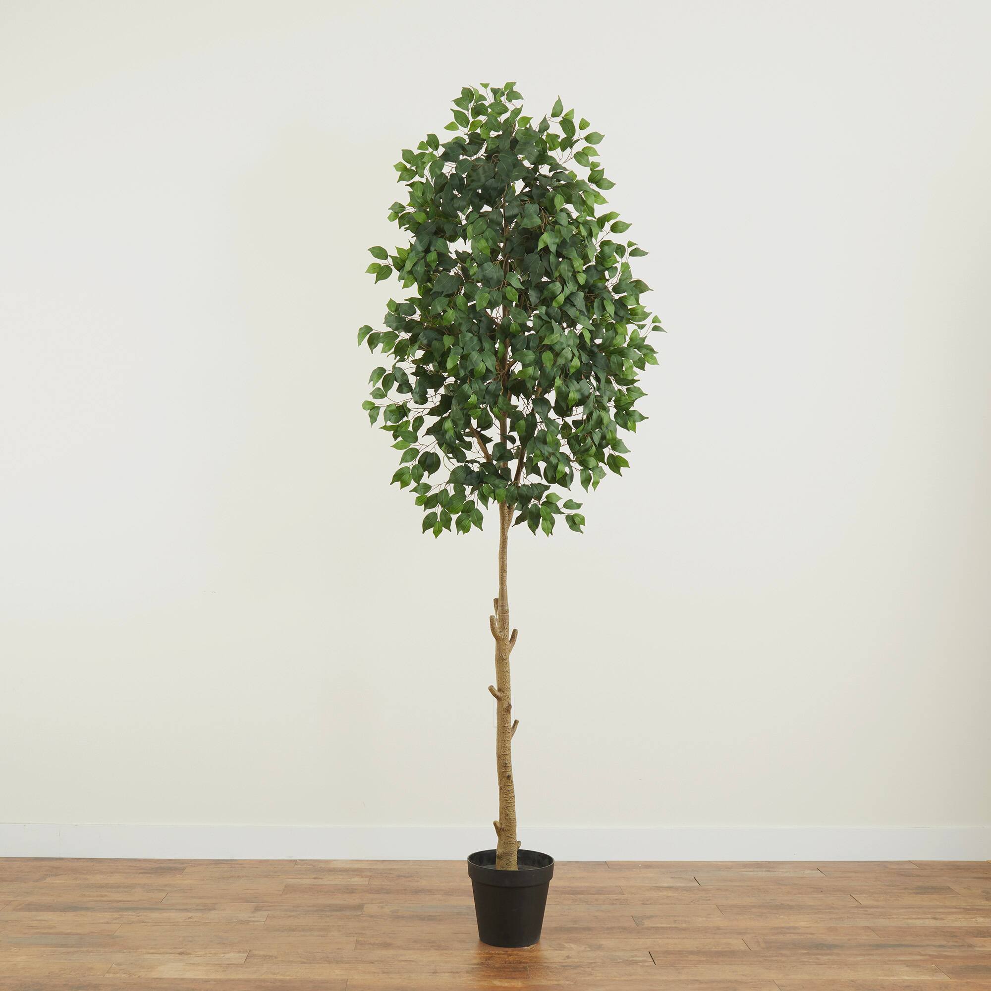 9ft. Artificial Ficus Tree