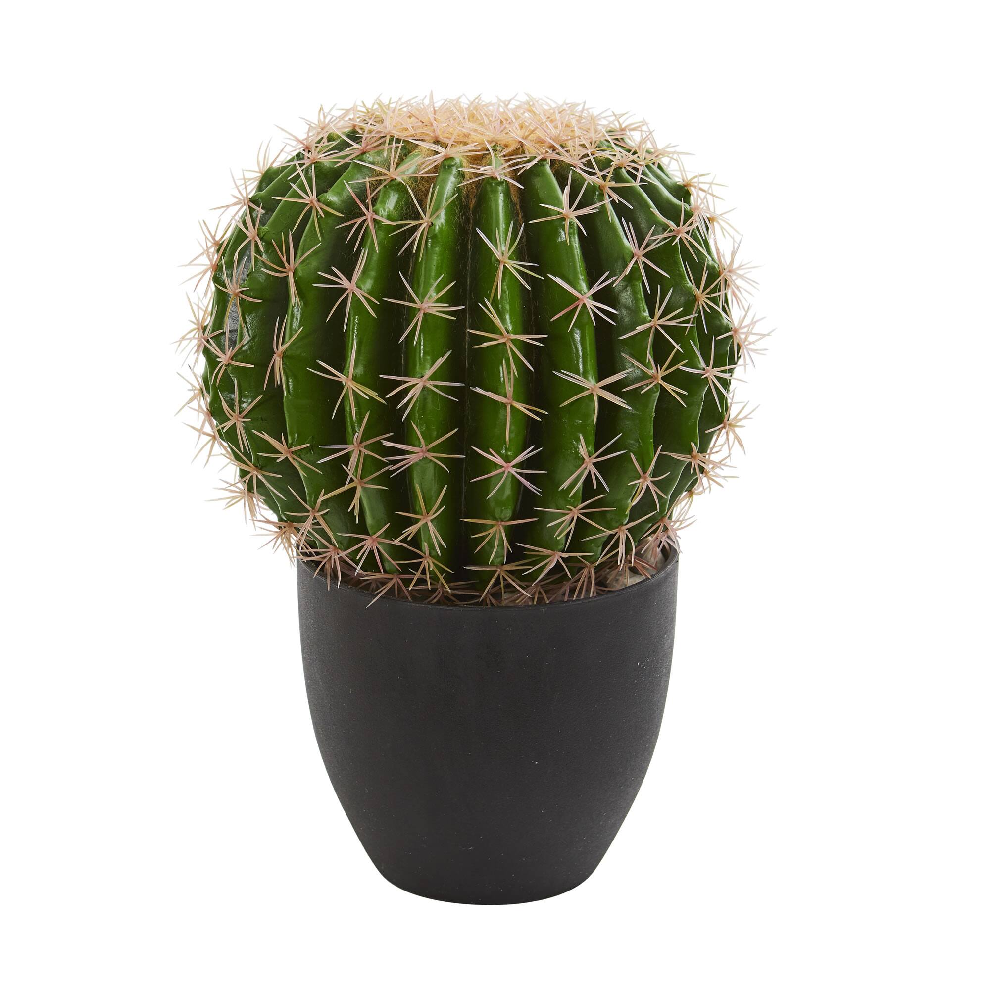 14&#x22; Potted Artificial Cactus