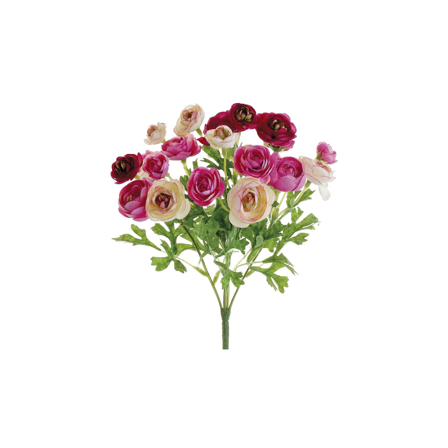 Pink Mini Ranunculus Bush | Michaels