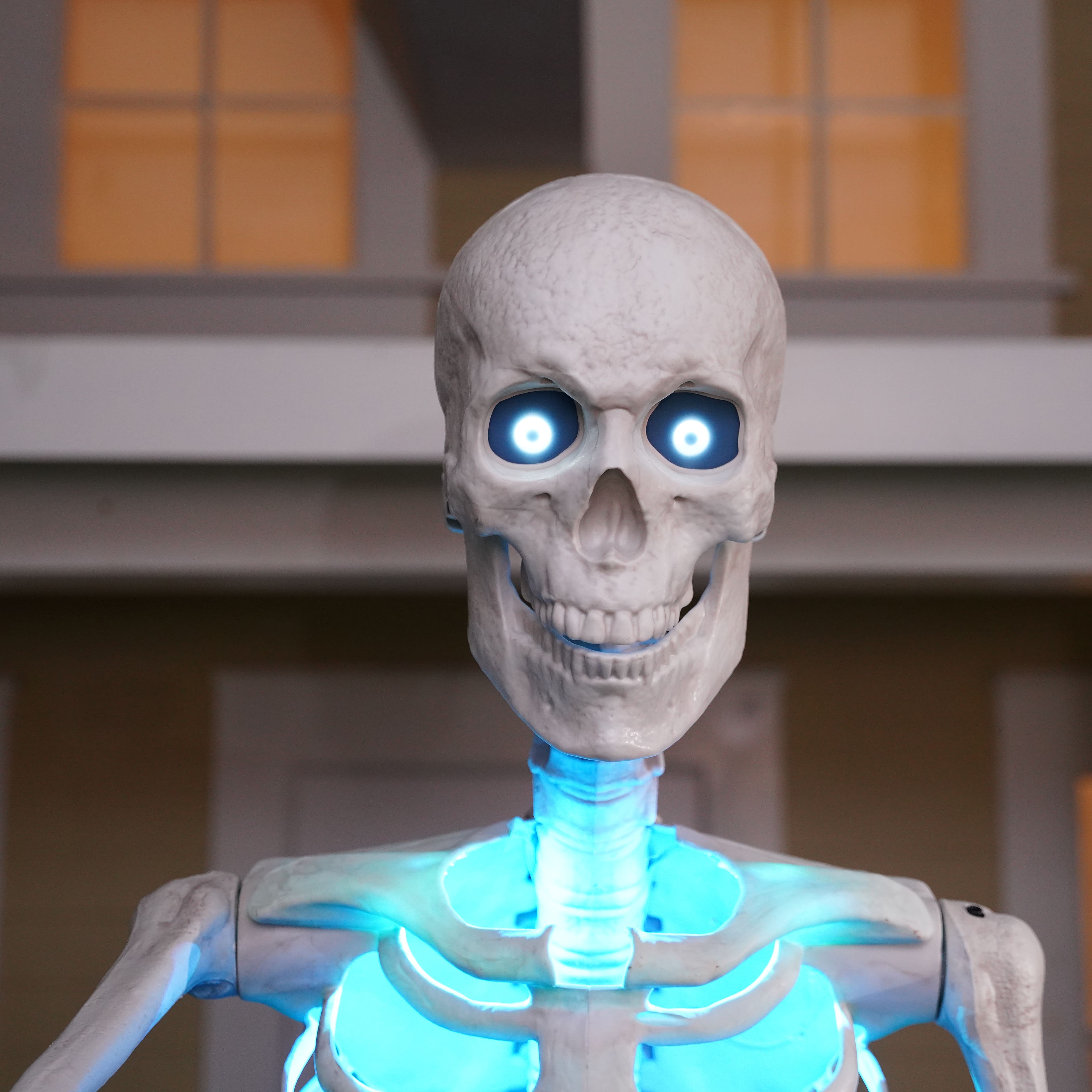 8ft. Skeleton by Ashland&#xAE;