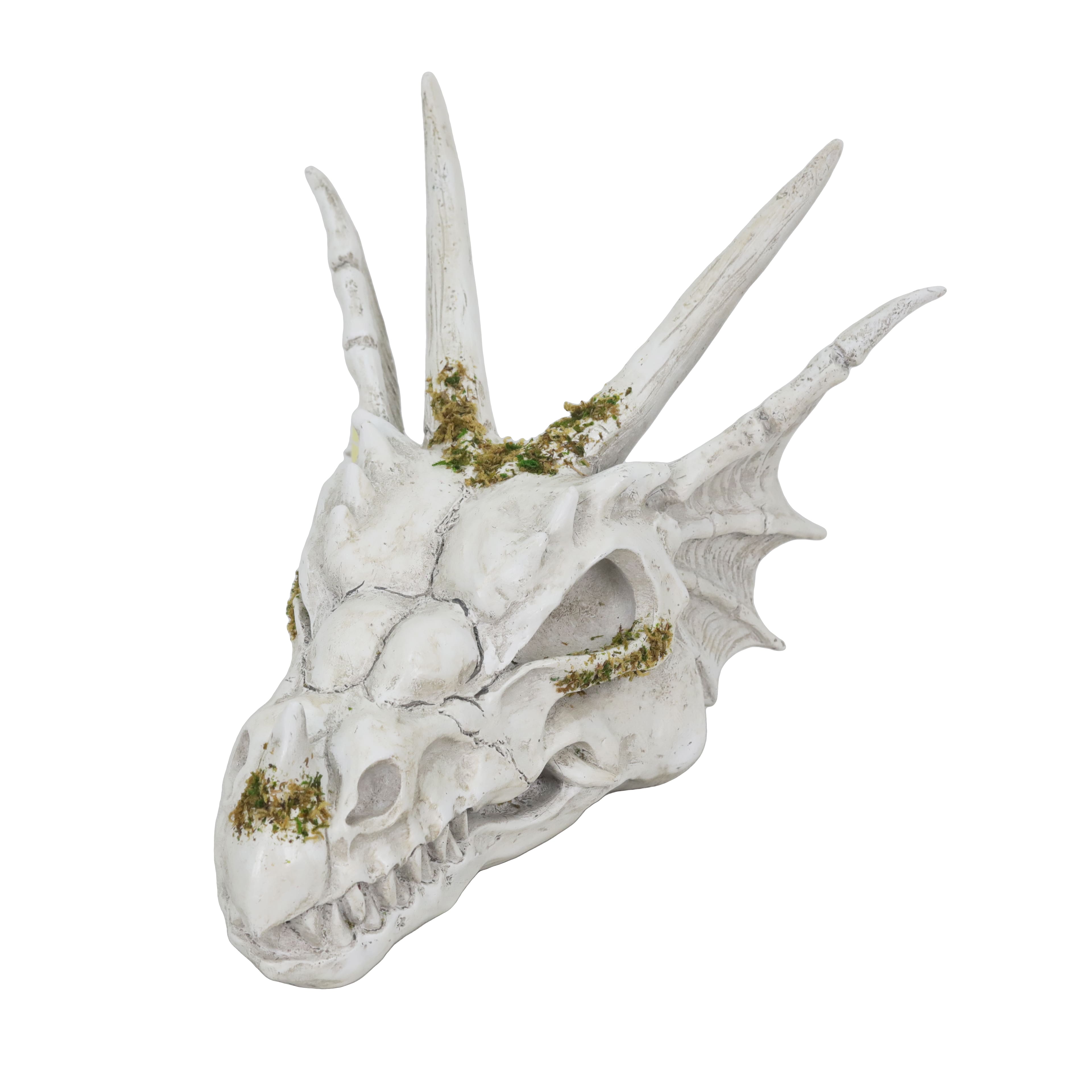 11&#x22; Dragon Skull Tabletop D&#xE9;cor by Ashland&#xAE;