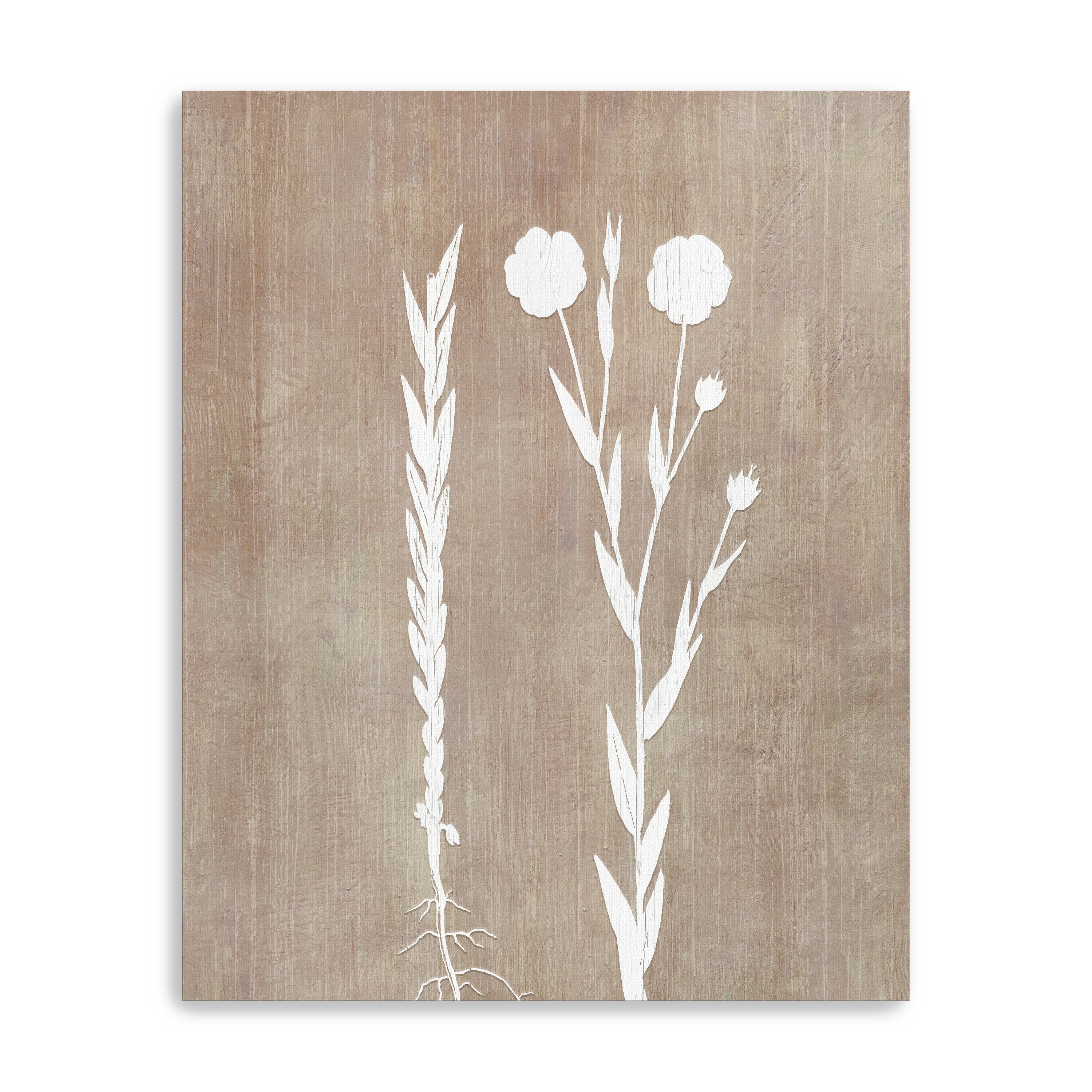Botany Beauty III Canvas Giclee