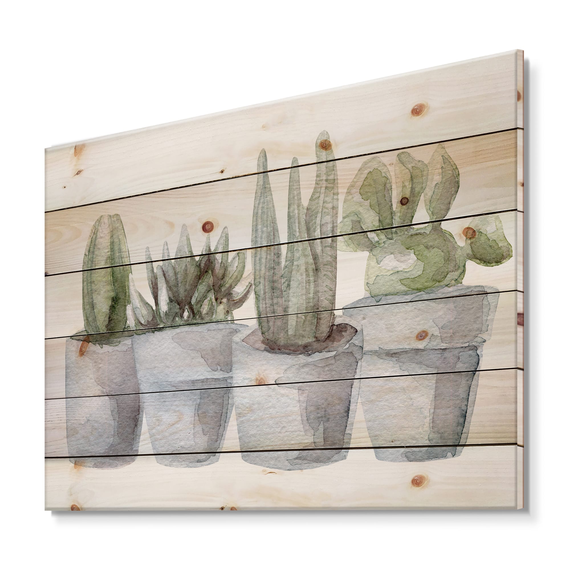 Designart - Cactus and Succulent House Plants V - Botanical Print on Natural Pine Wood