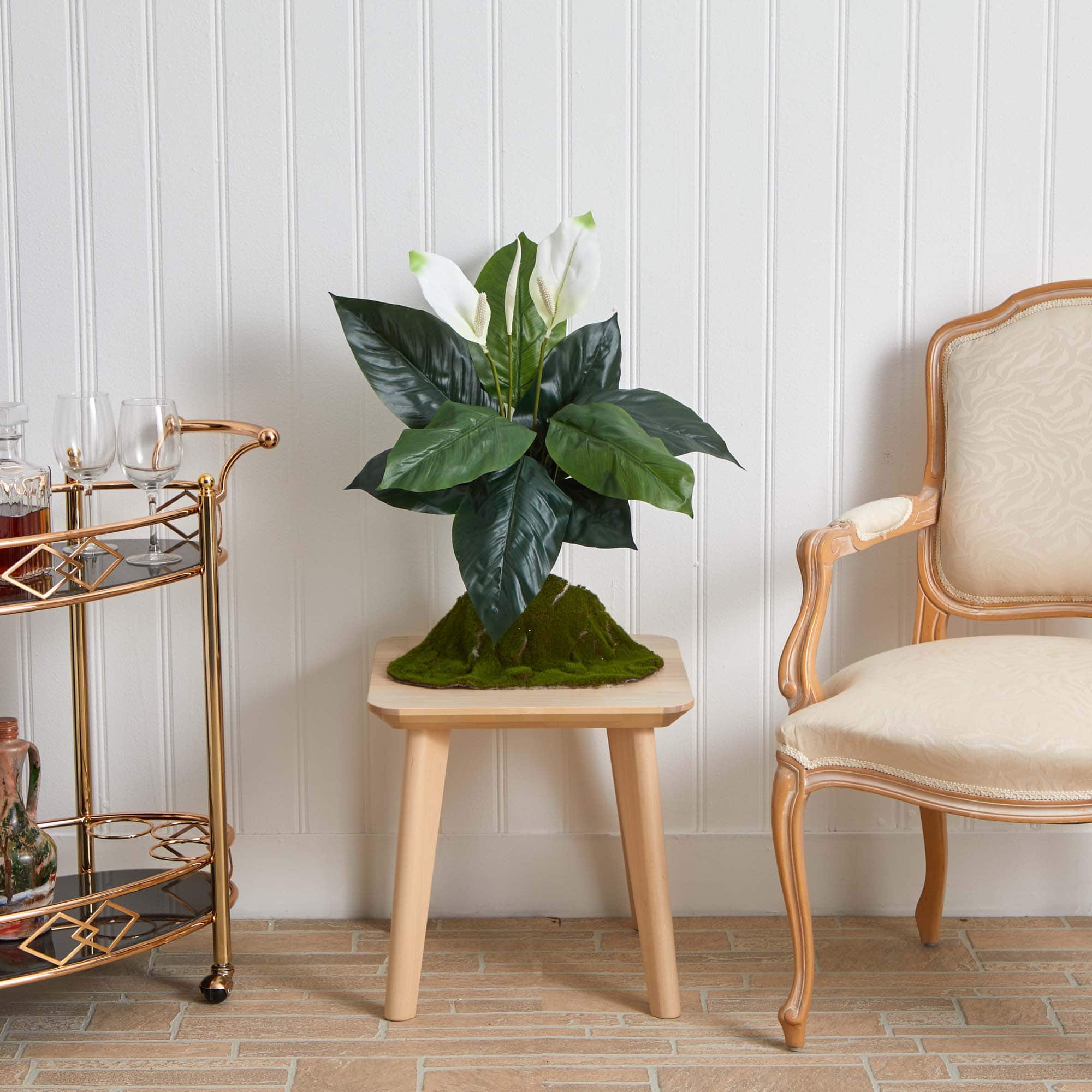 White Peace Lily Plant, 3ct.