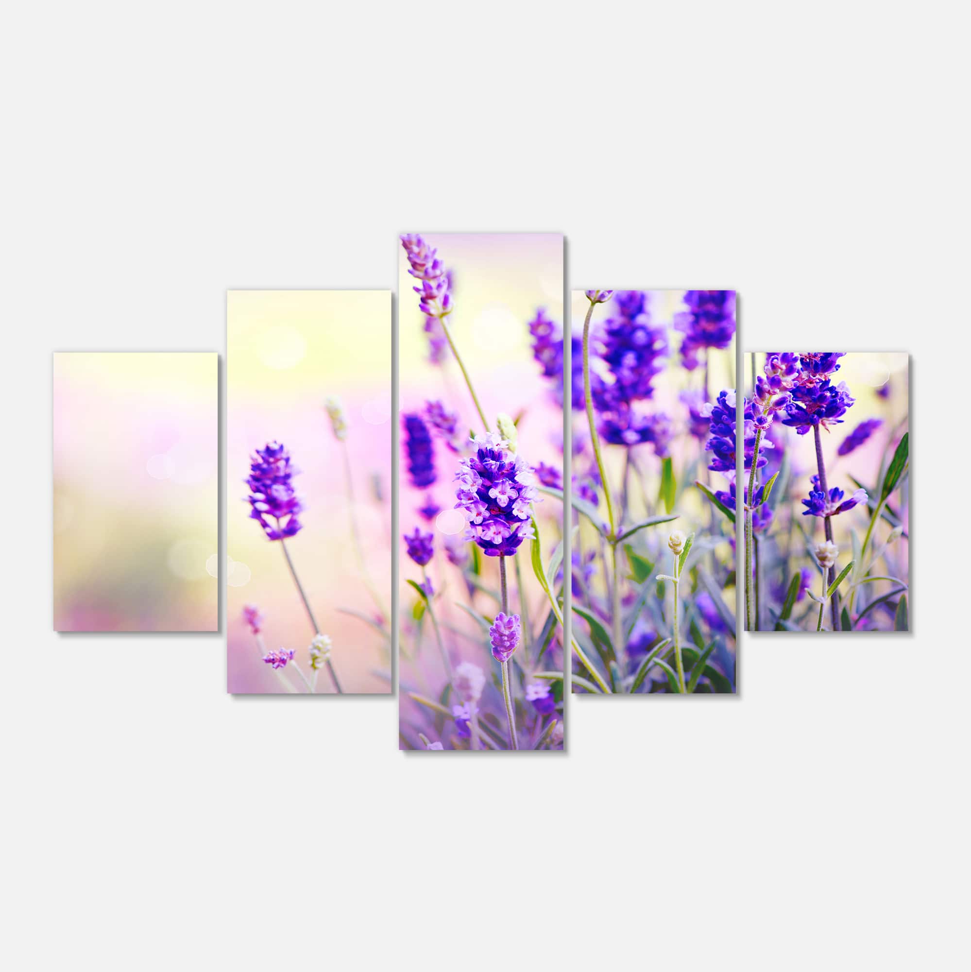 Designart - Purple Lavender Field - Large Floral Photography Canvas Art Print