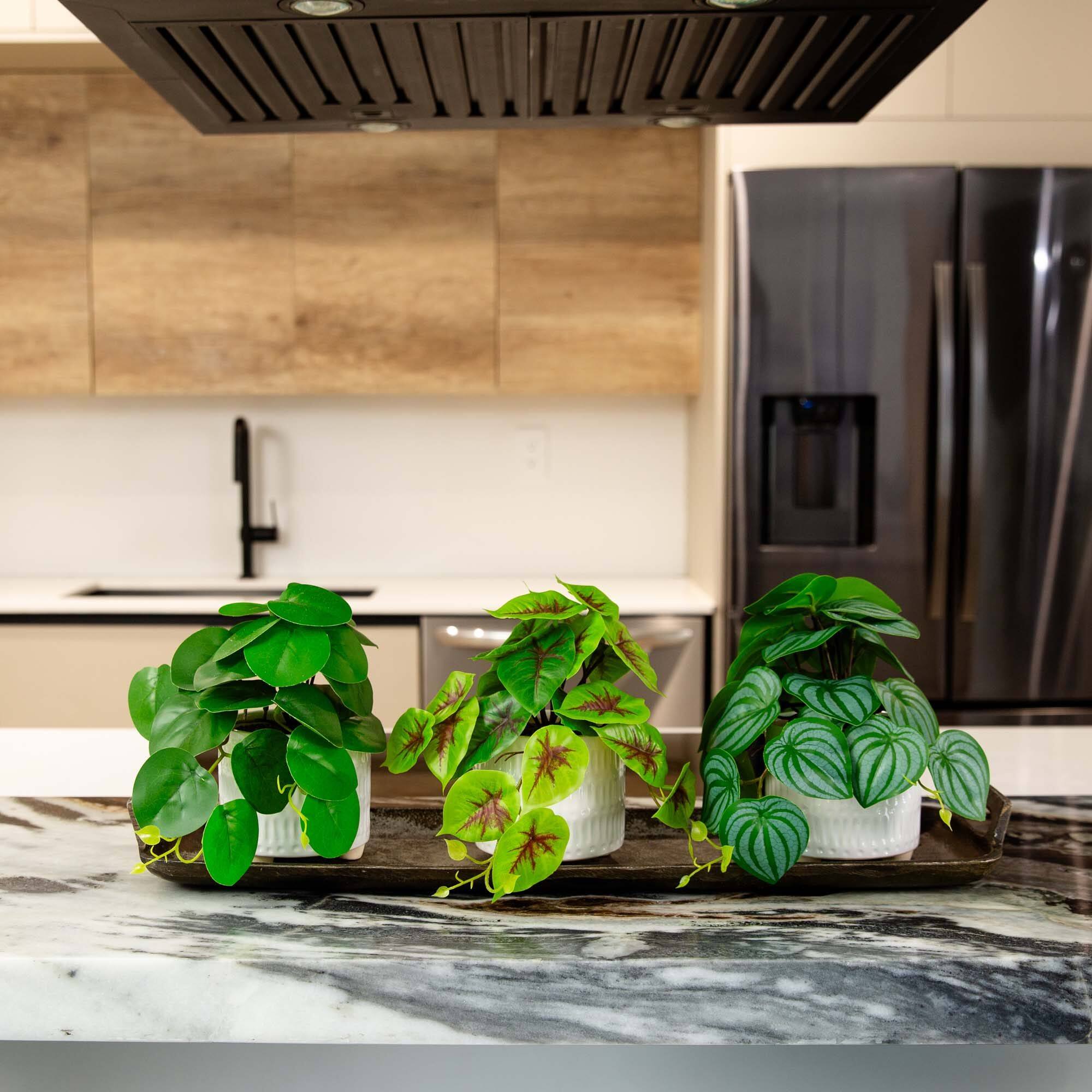 8" Mixed Greenery in Ceramic Planters Set