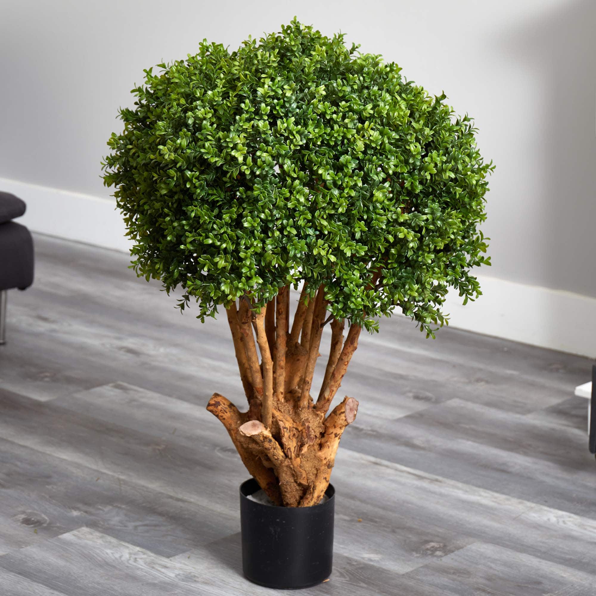 3ft. Potted Boxwood Topiary Tree