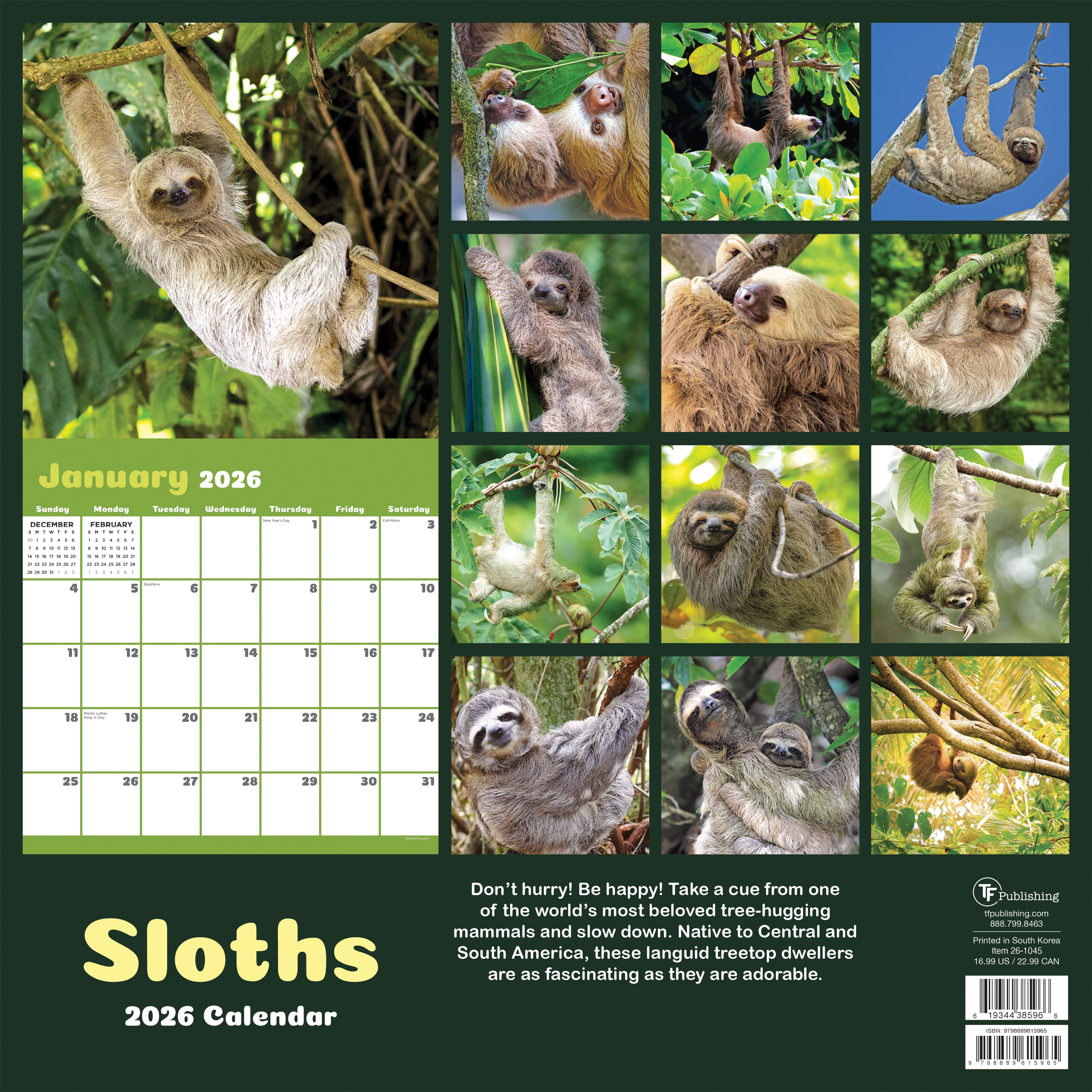 2026 Sloths Wall Calendar
