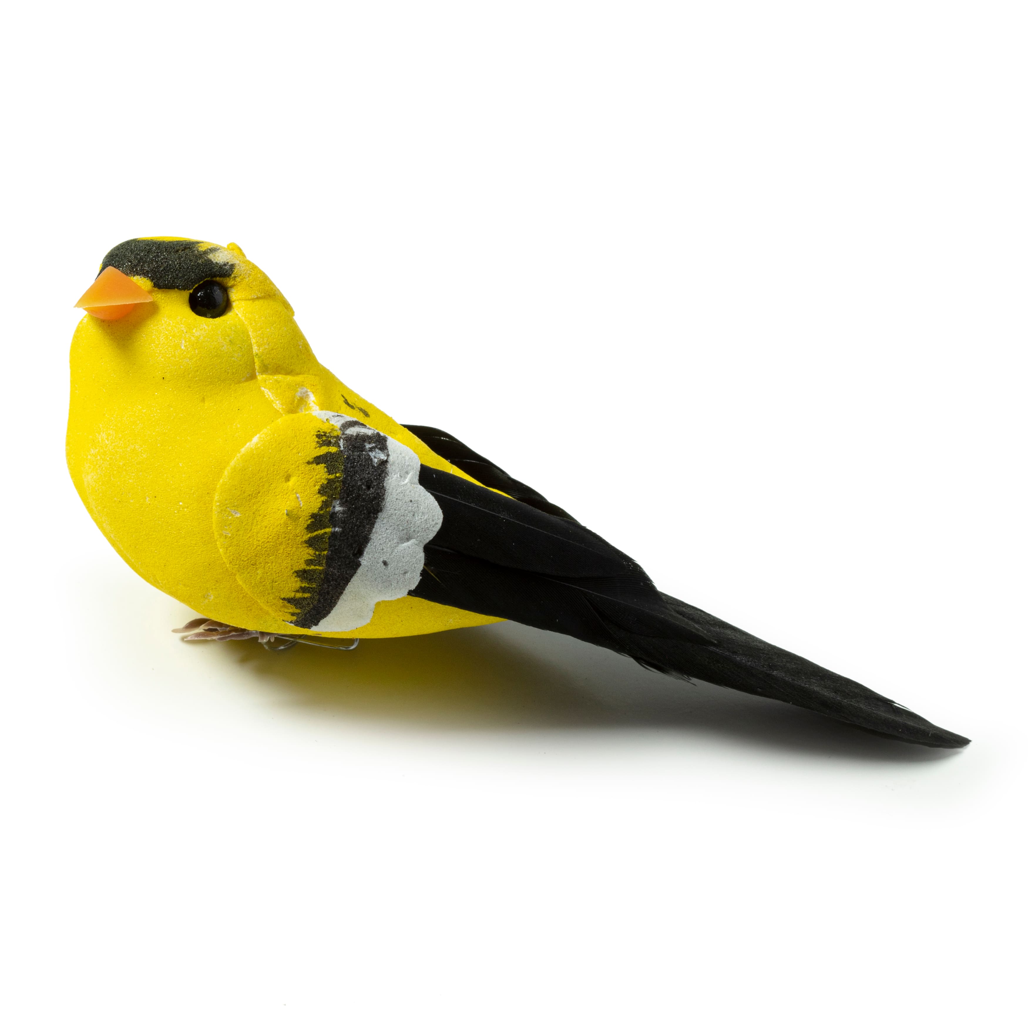 12 Pack: Finch Bird by Ashland&#xAE;