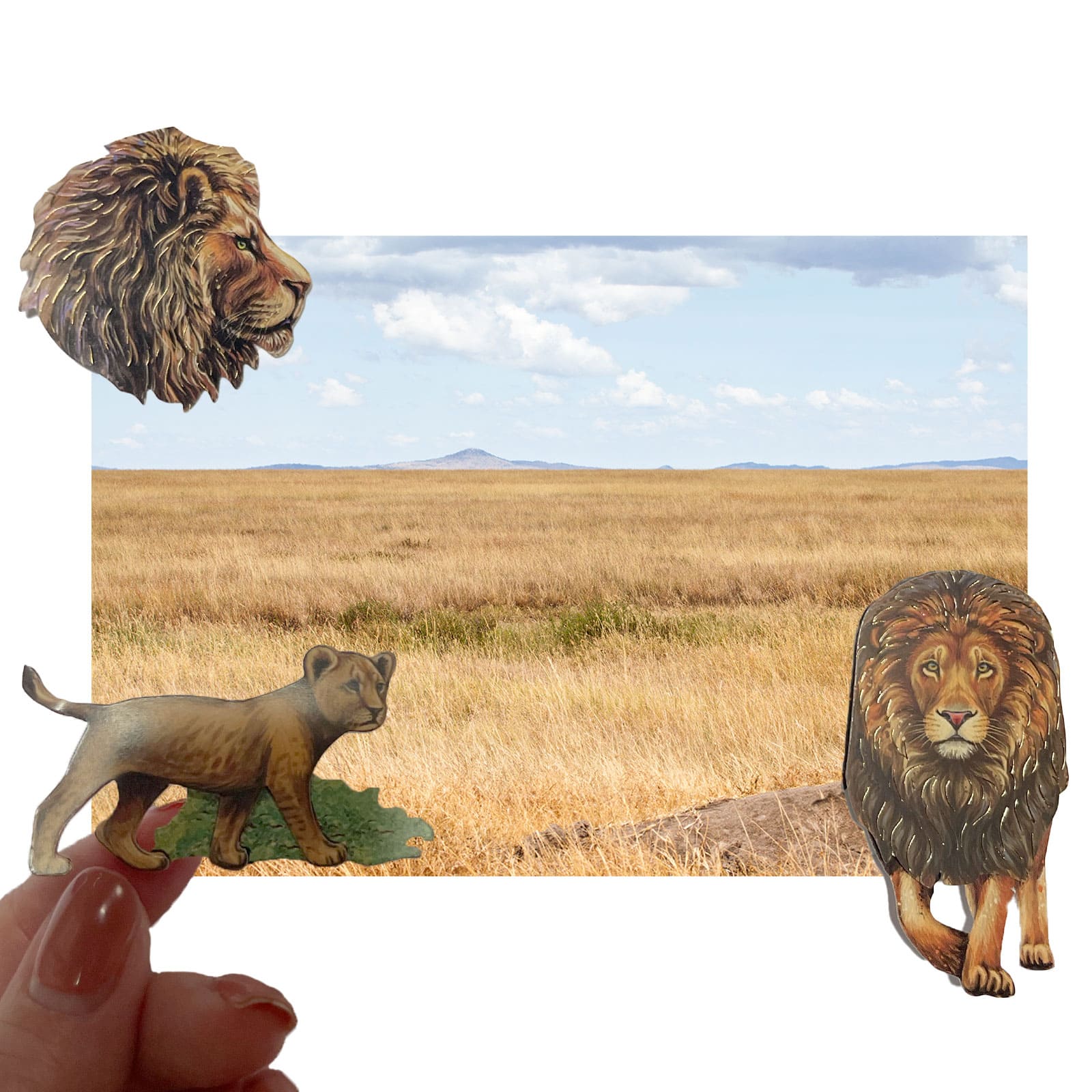 12 Pack: Lion Stickers by Recollections™