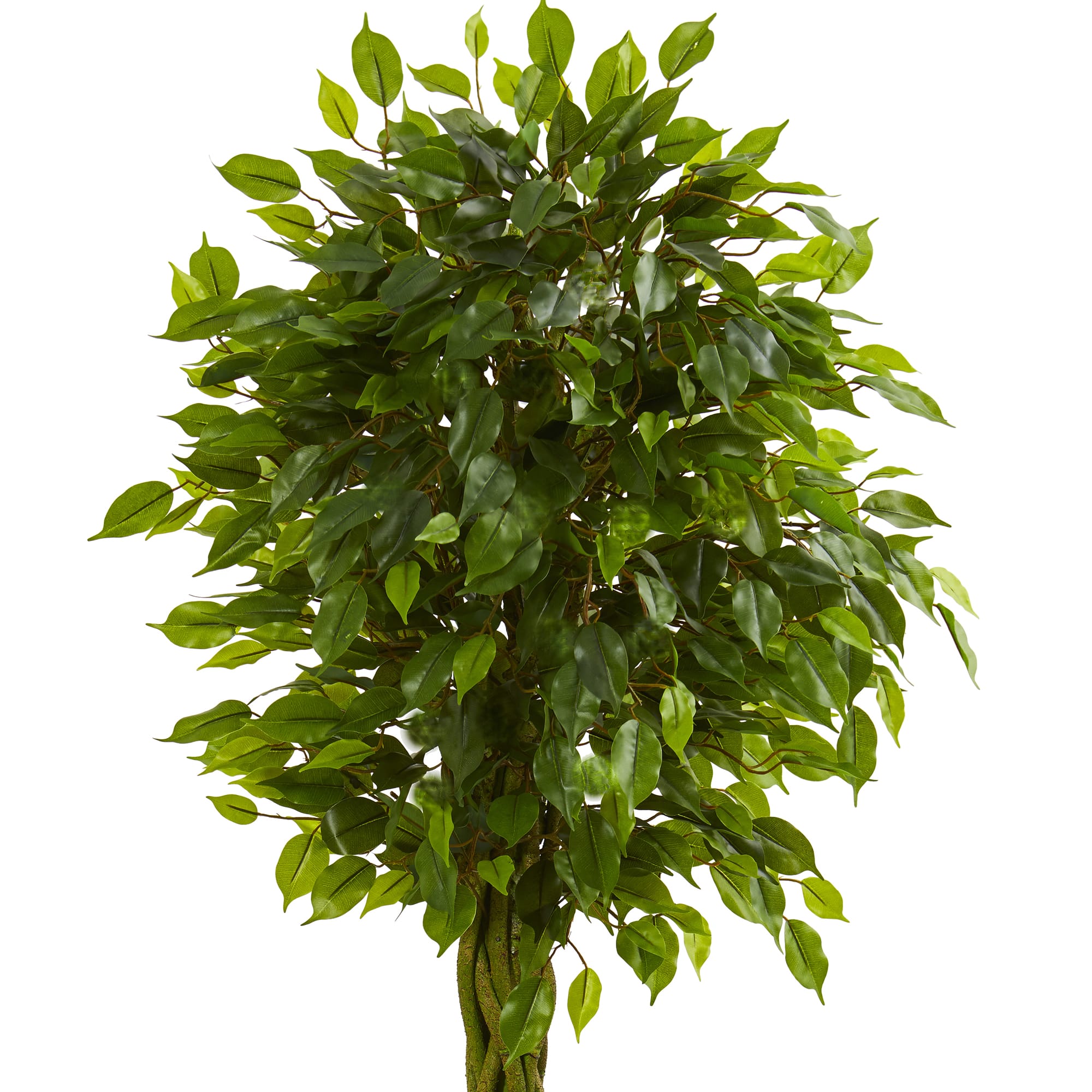 5ft. UV Resistant Braided Ficus Artificial Tree in Slate Planter