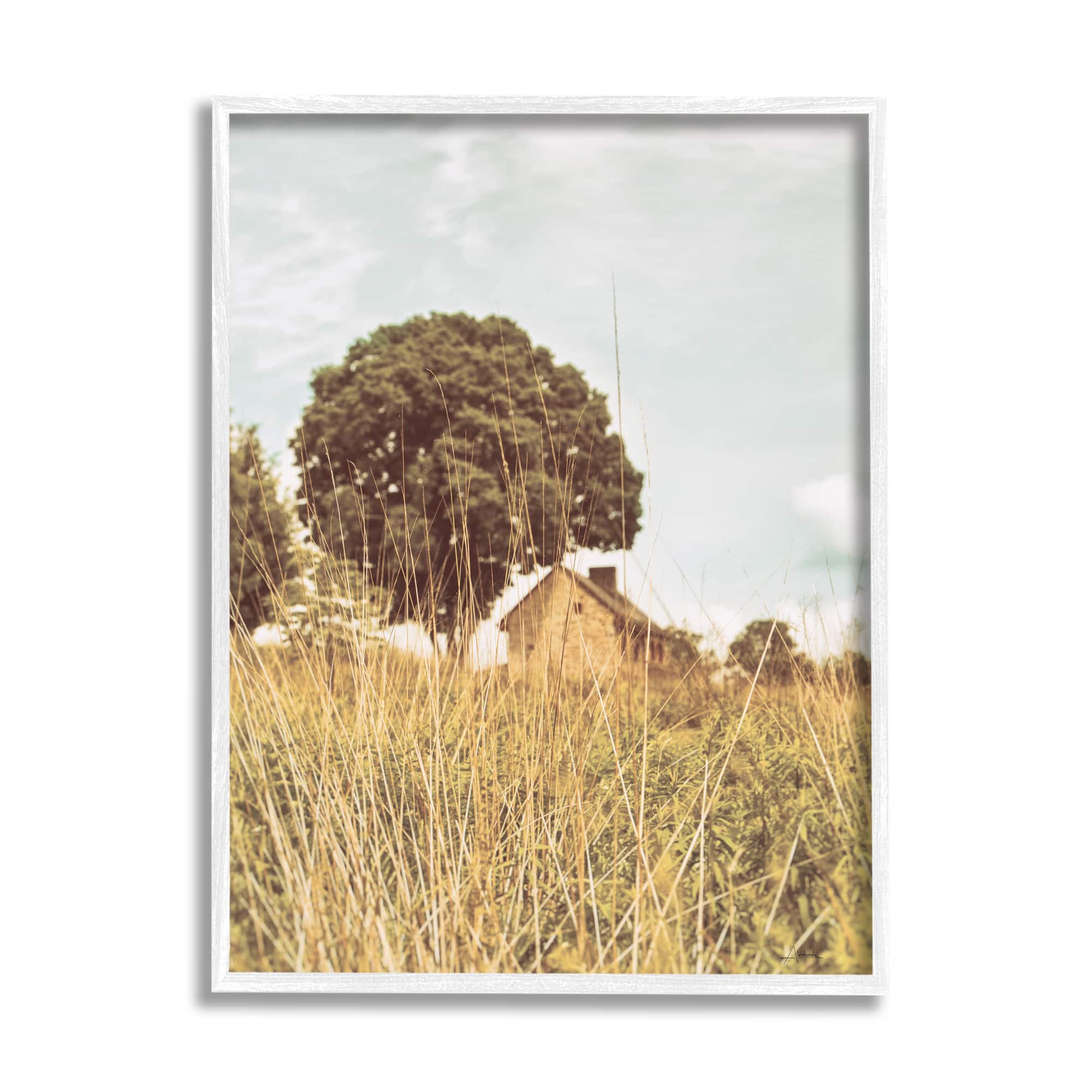 Stupell Industries Countryside Farm Meadow Tall Grass Summer Landscape Photography Framed Wall Art