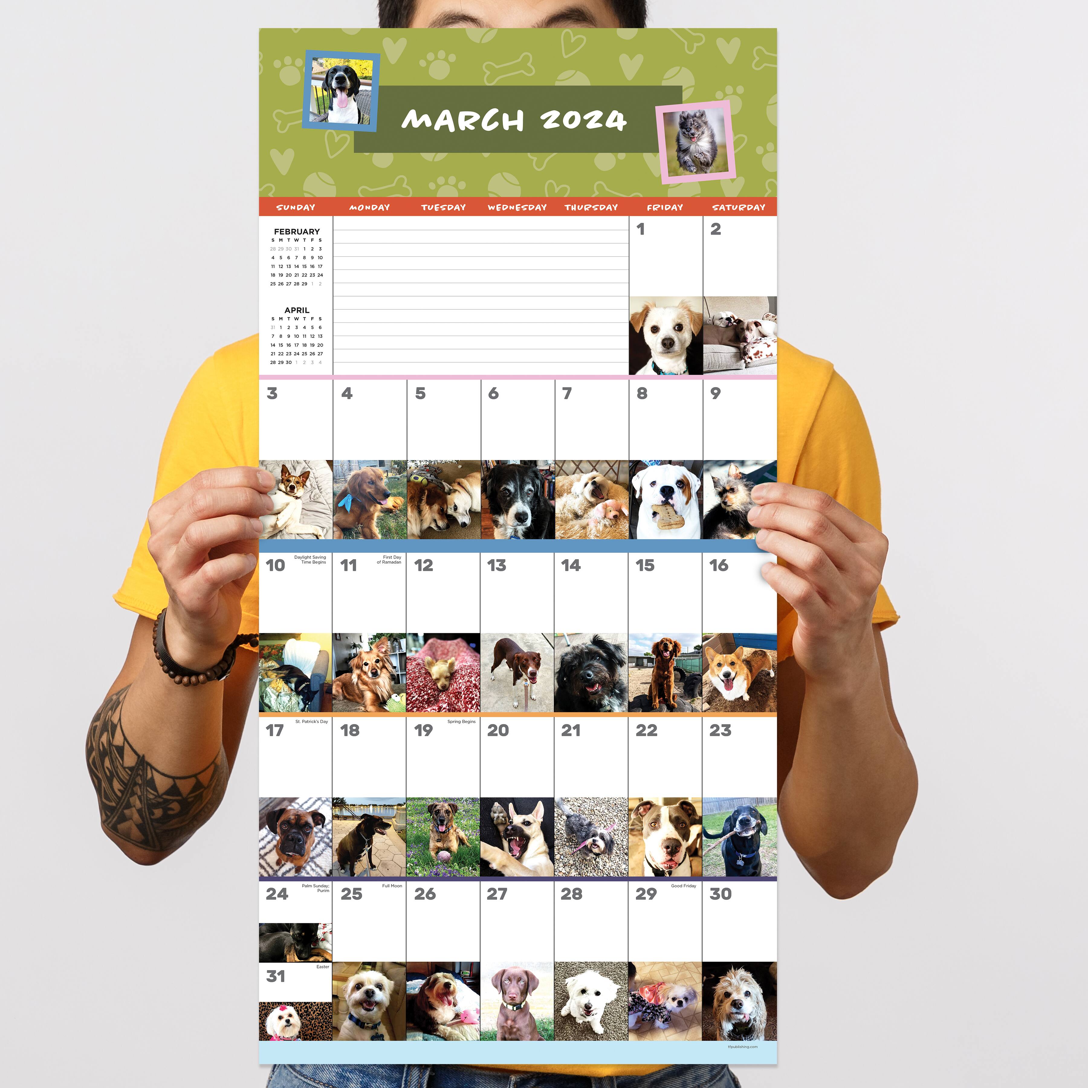 TF Publishing 2024 Dog-A-Day Wall Calendar