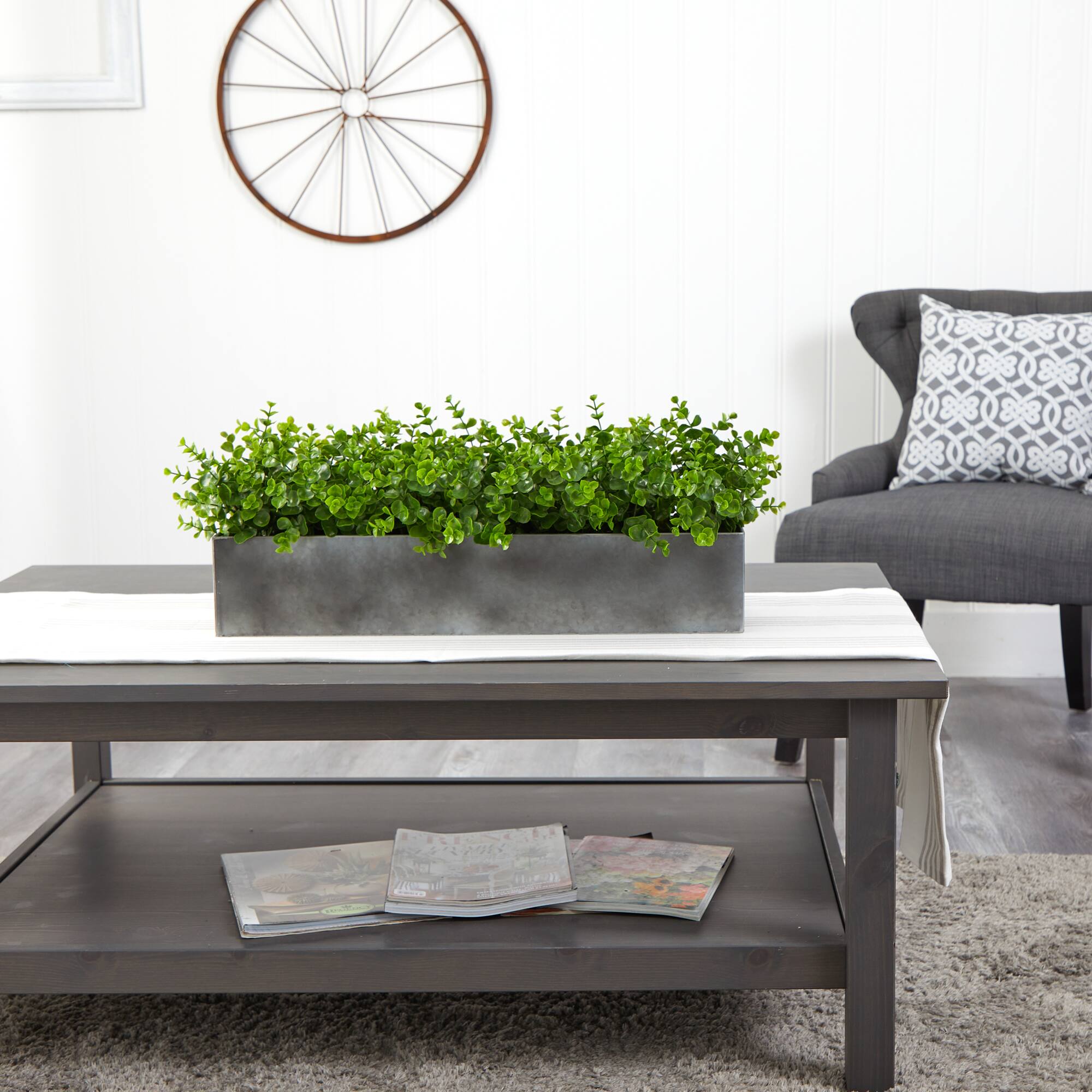 9" Potted Eucalyptus Plant