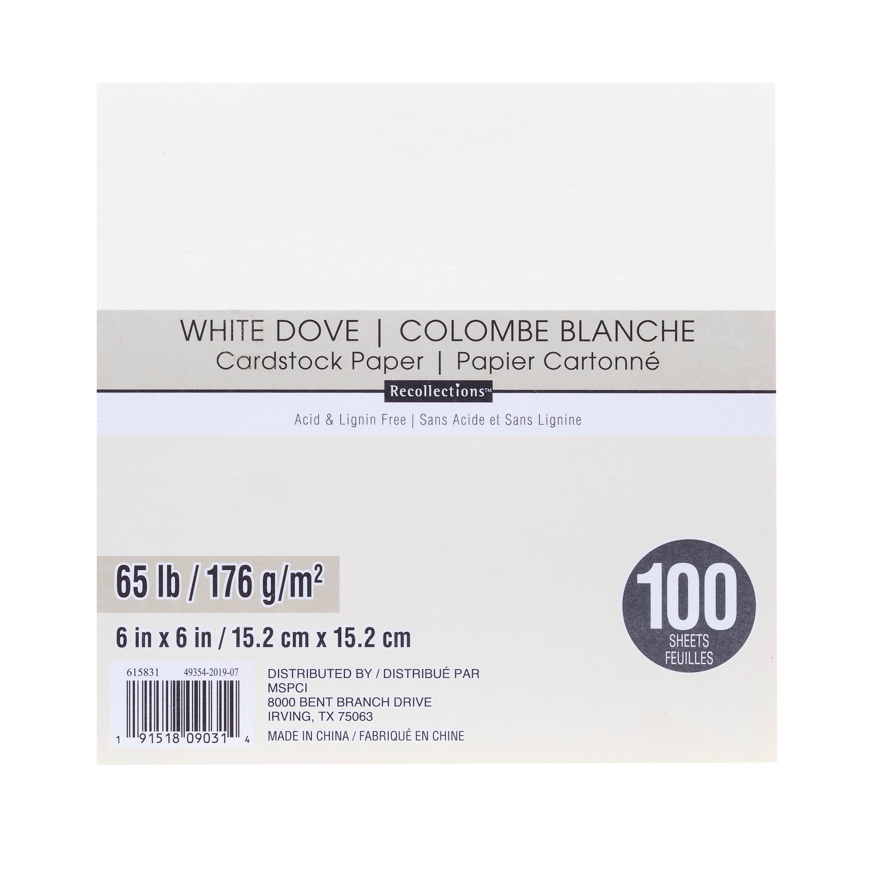 12 Packs: 100 ct. (1,200 total) White Dove 6" x 6" Cardstock Paper by Recollections™