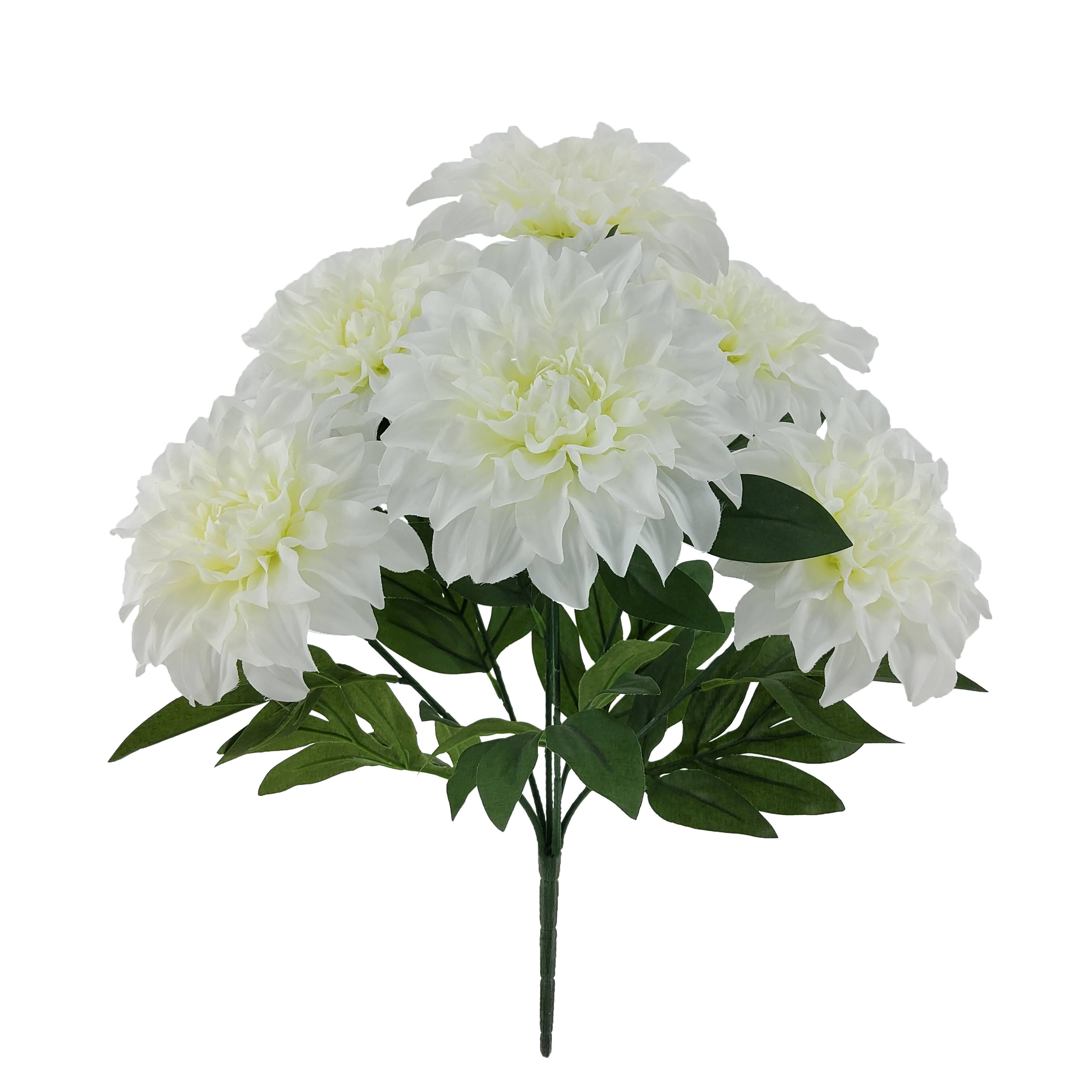 19" Dahlia Bush by Ashland