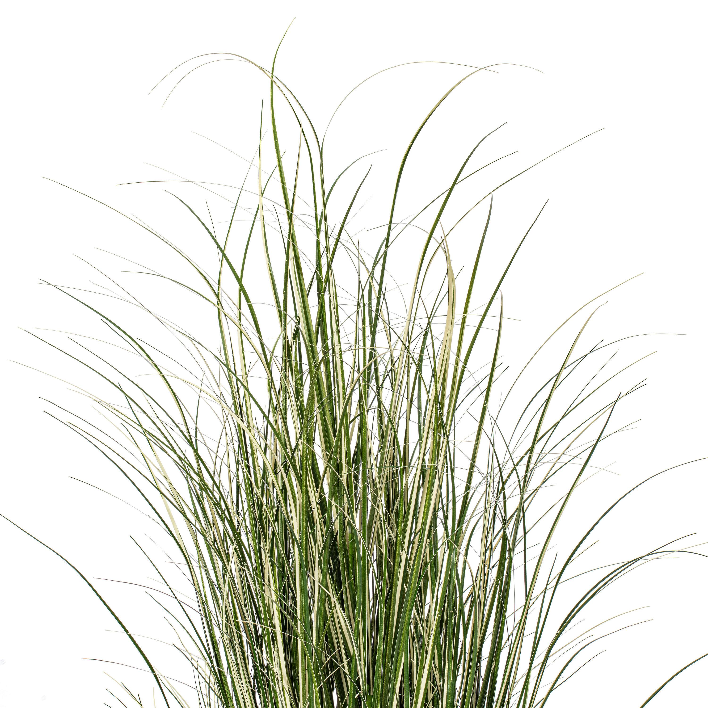 Artificial Native Green Grass in Iron Pot