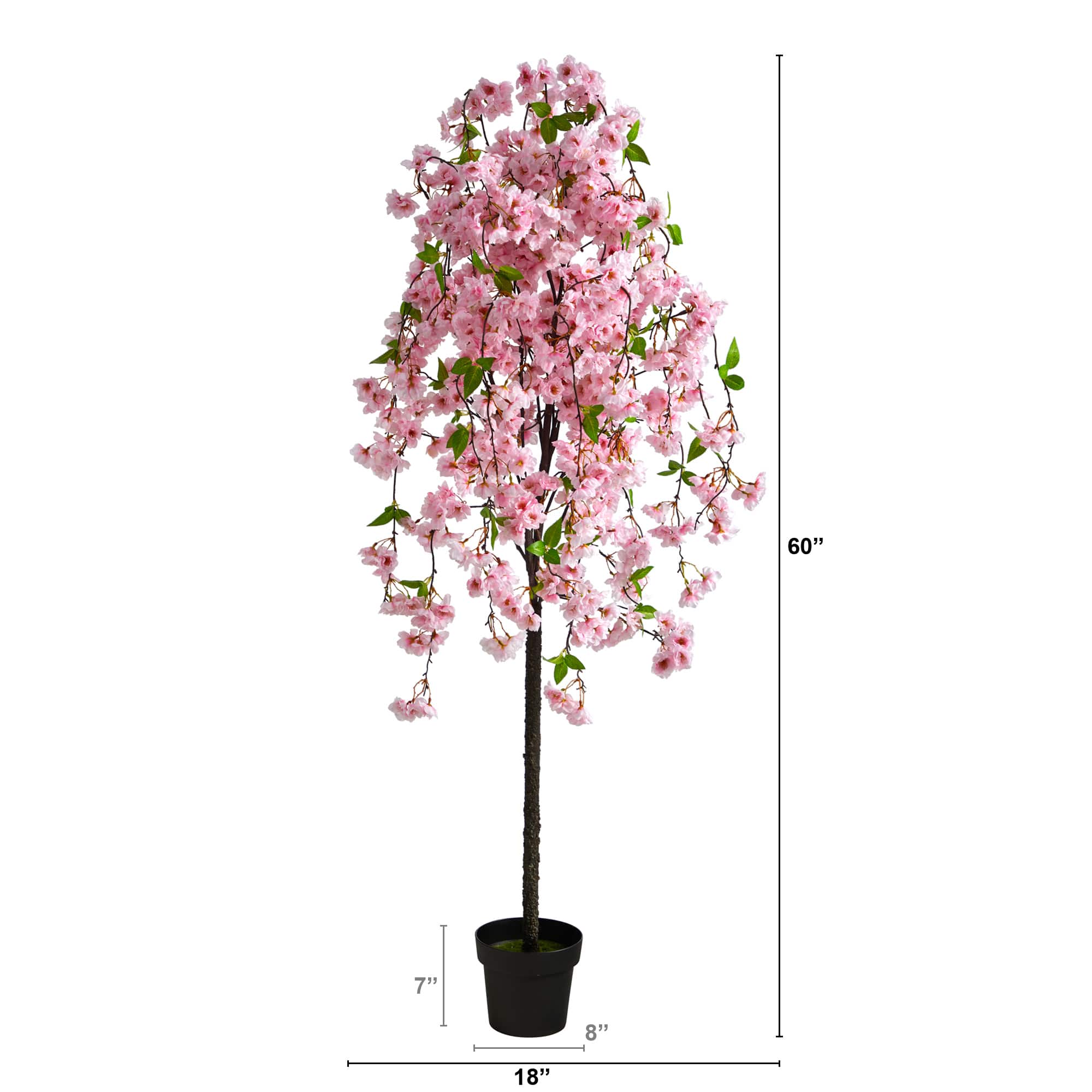 5ft. Potted Cherry Blossom Tree