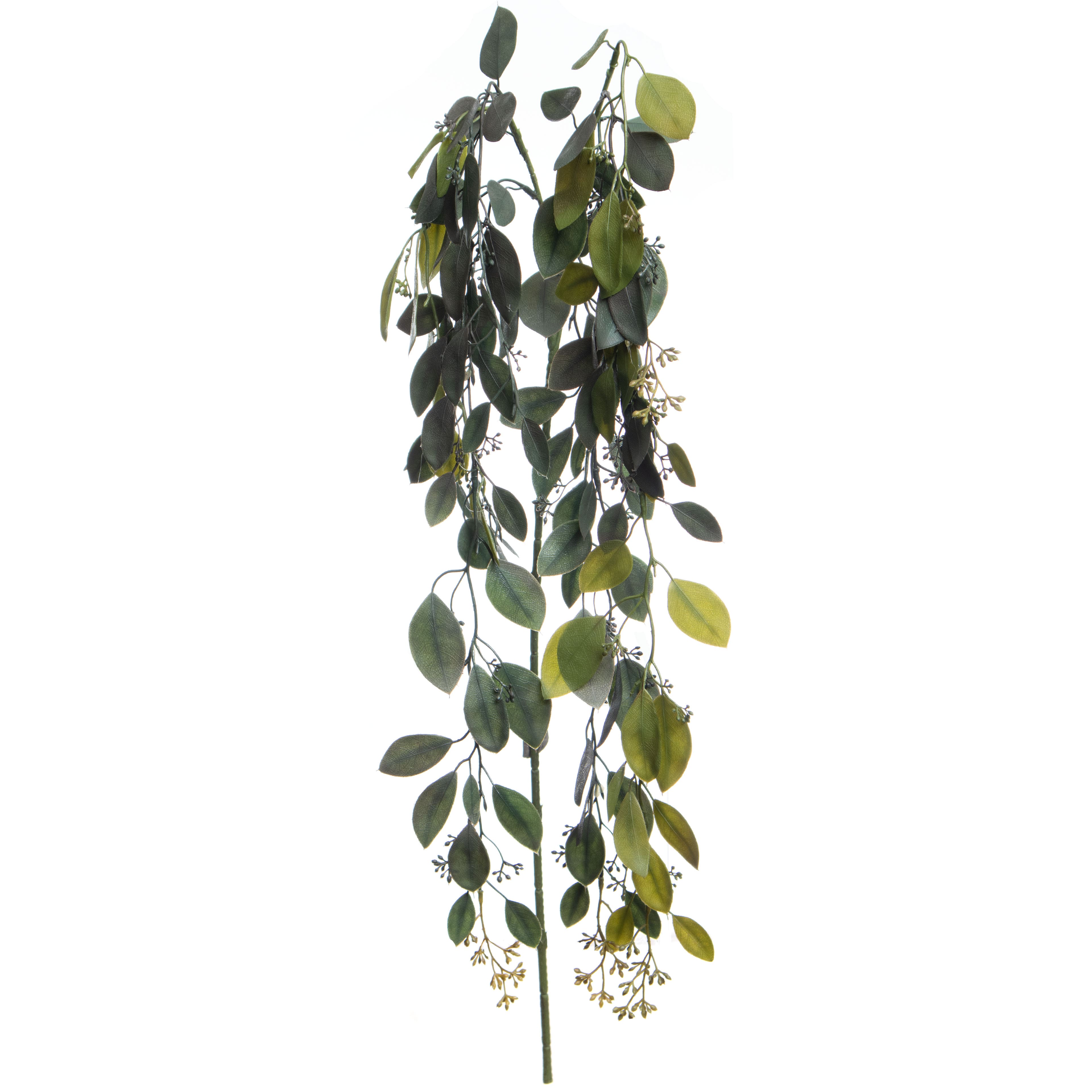 25&#x22; Hanging Seeded Eucalyptus by Ashland&#xAE;
