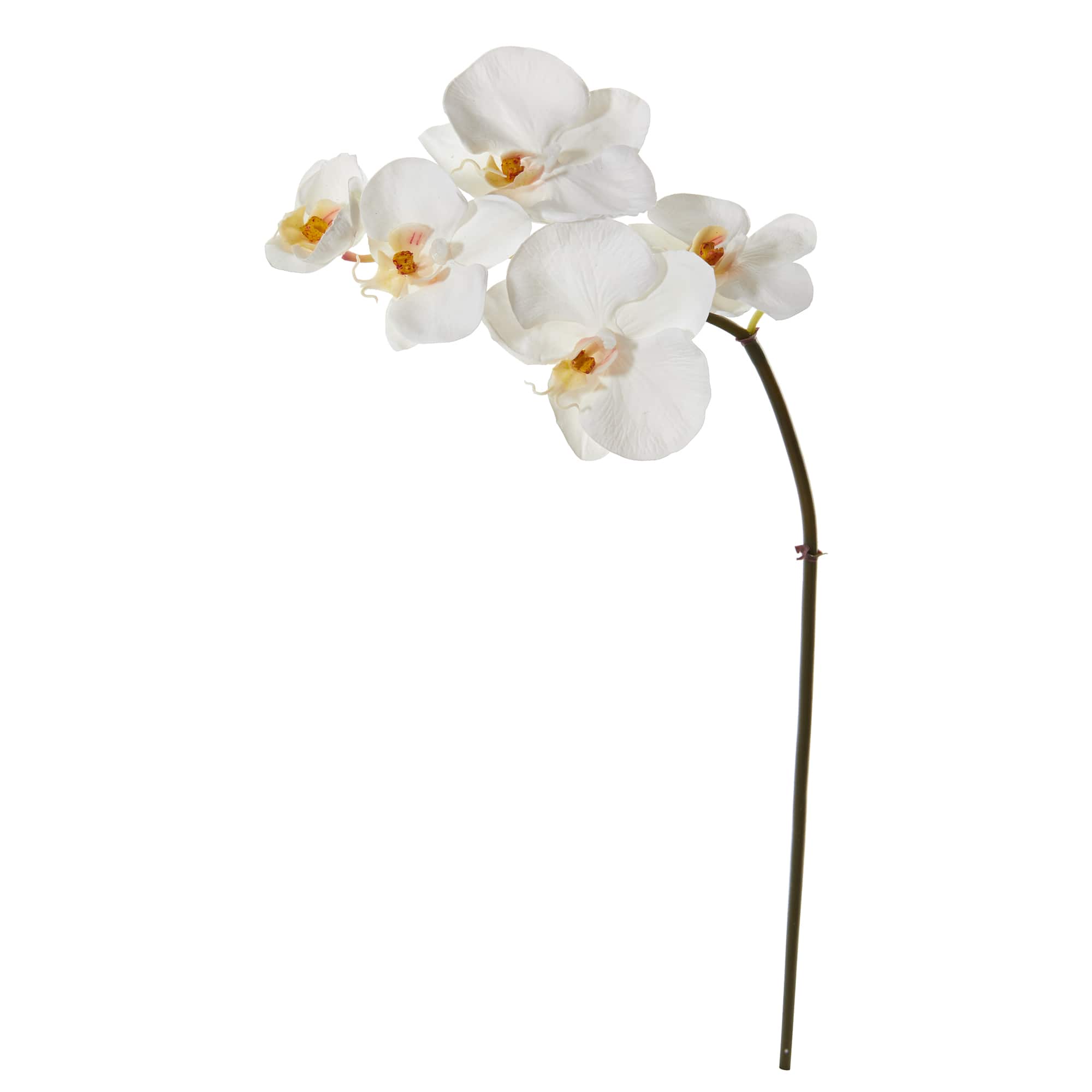 20&#x22; Phalaenopsis Orchid Artificial Flower (Set of 12)