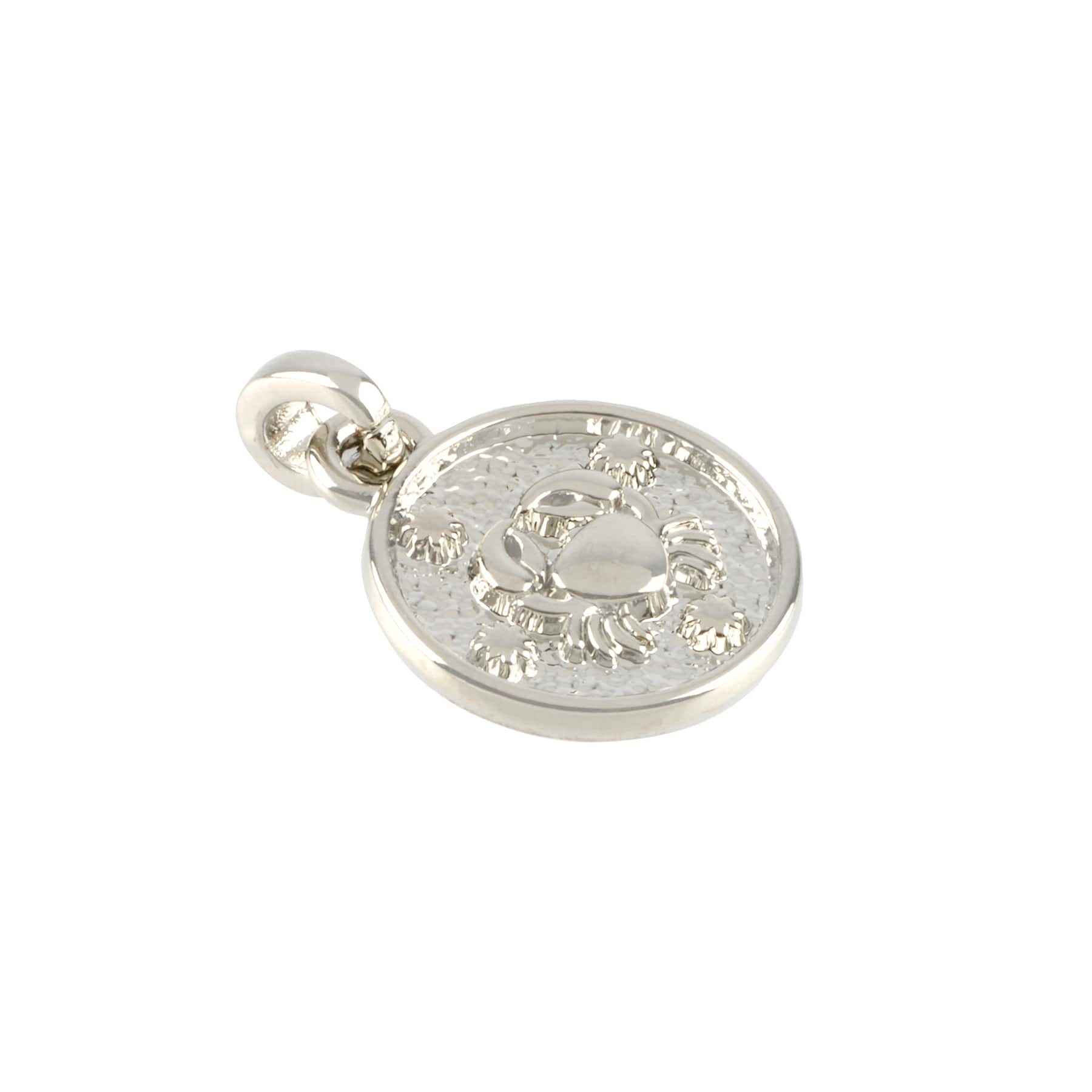 12 Pack: Metal Zodiac Coin Charm by Bead Landing™