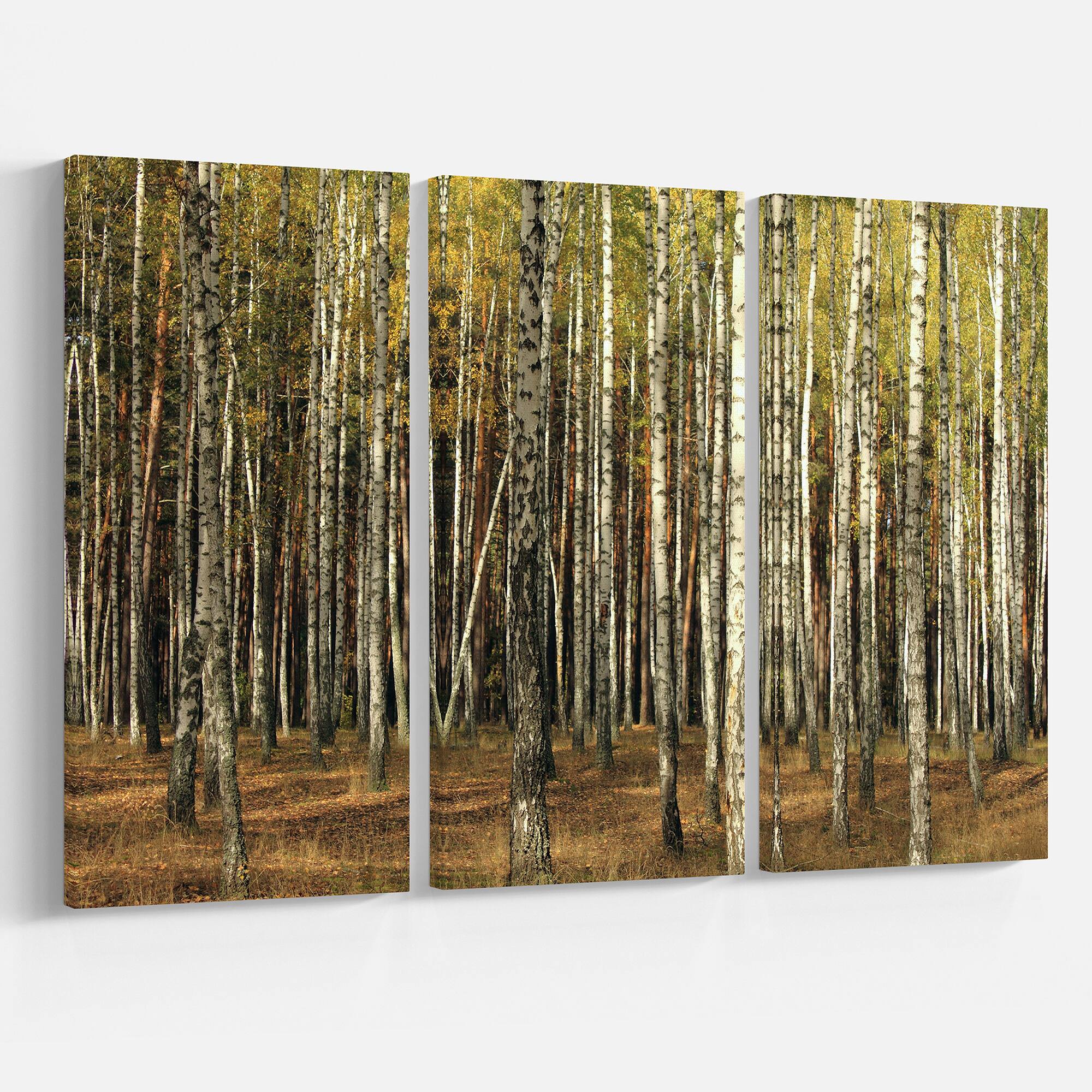 Designart - Green Fall Forest with Thick Trees - Forest Canvas Art Print