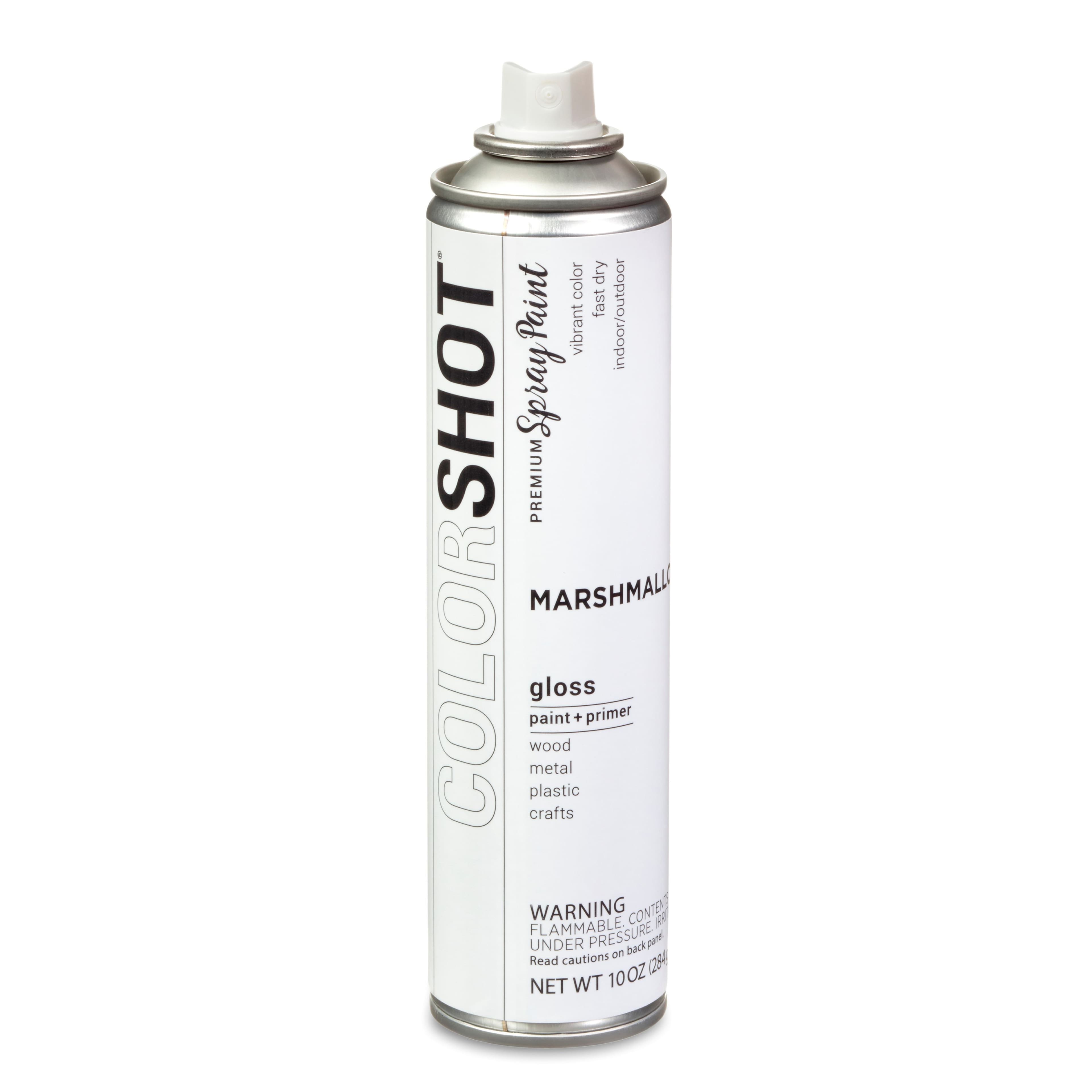 COLORSHOT&#xAE; Premium Gloss Spray Paint