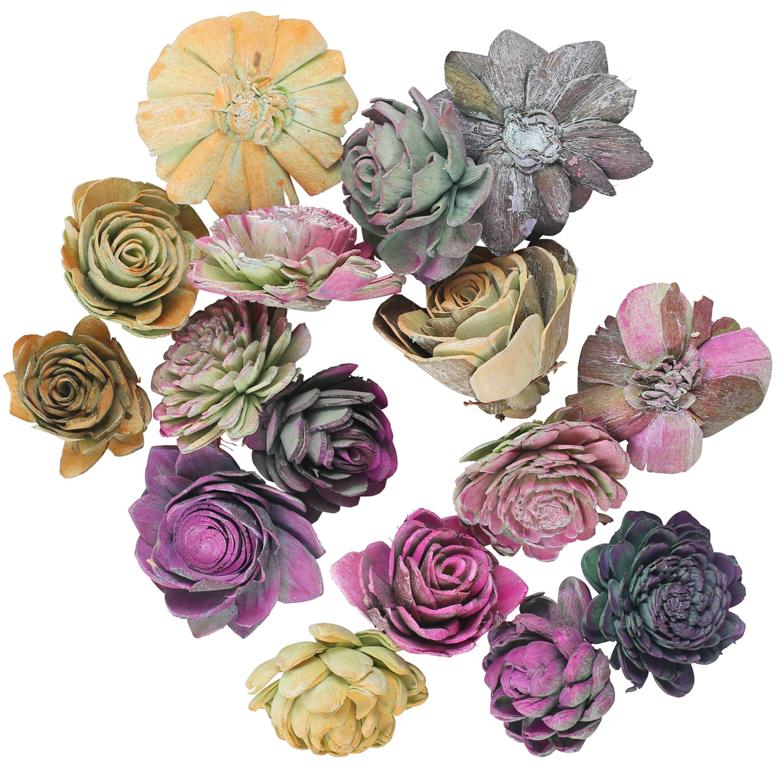 Succulent Bowl Filler by Ashland®