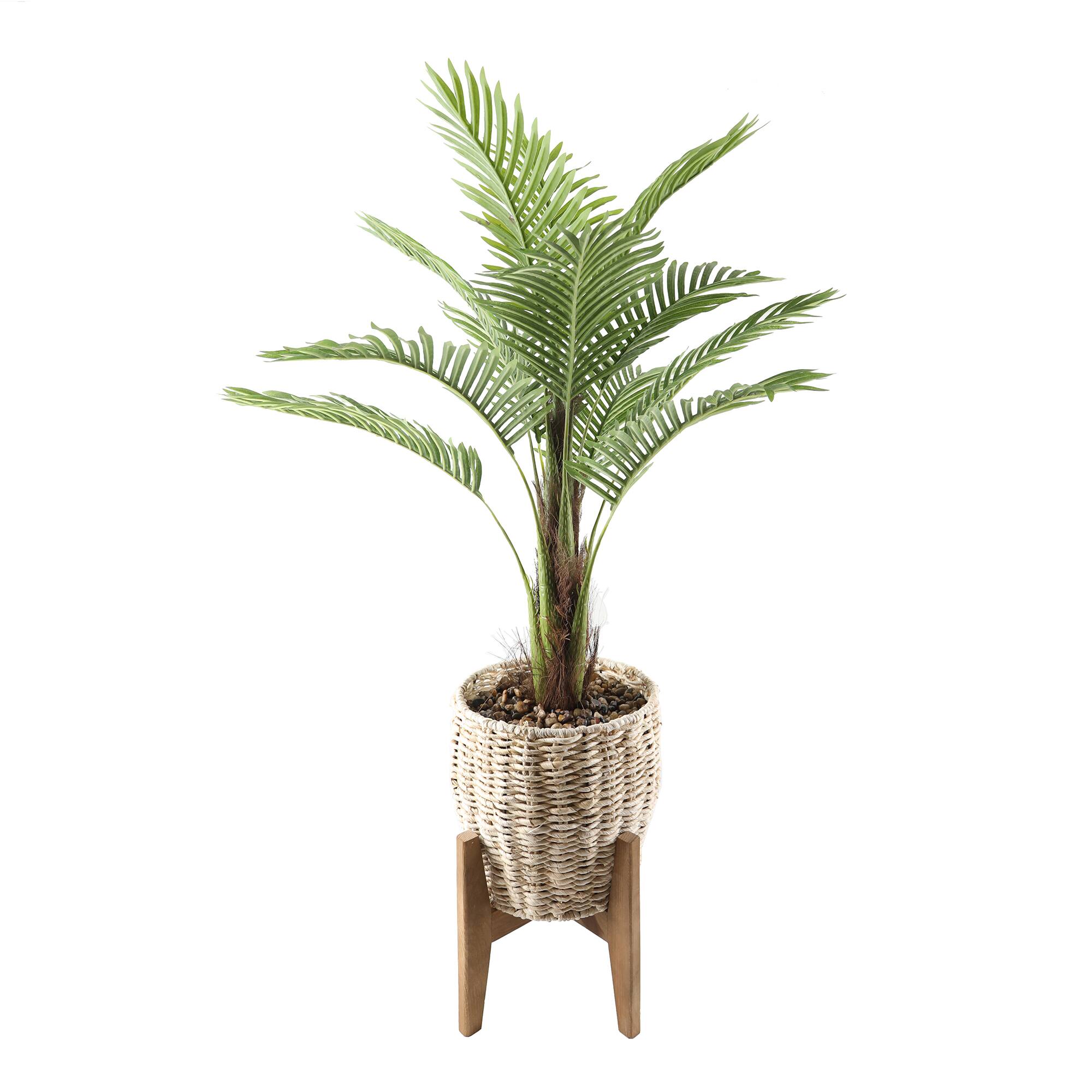 Flora Bunda® 4ft. Palm in Basket Planter on Stand