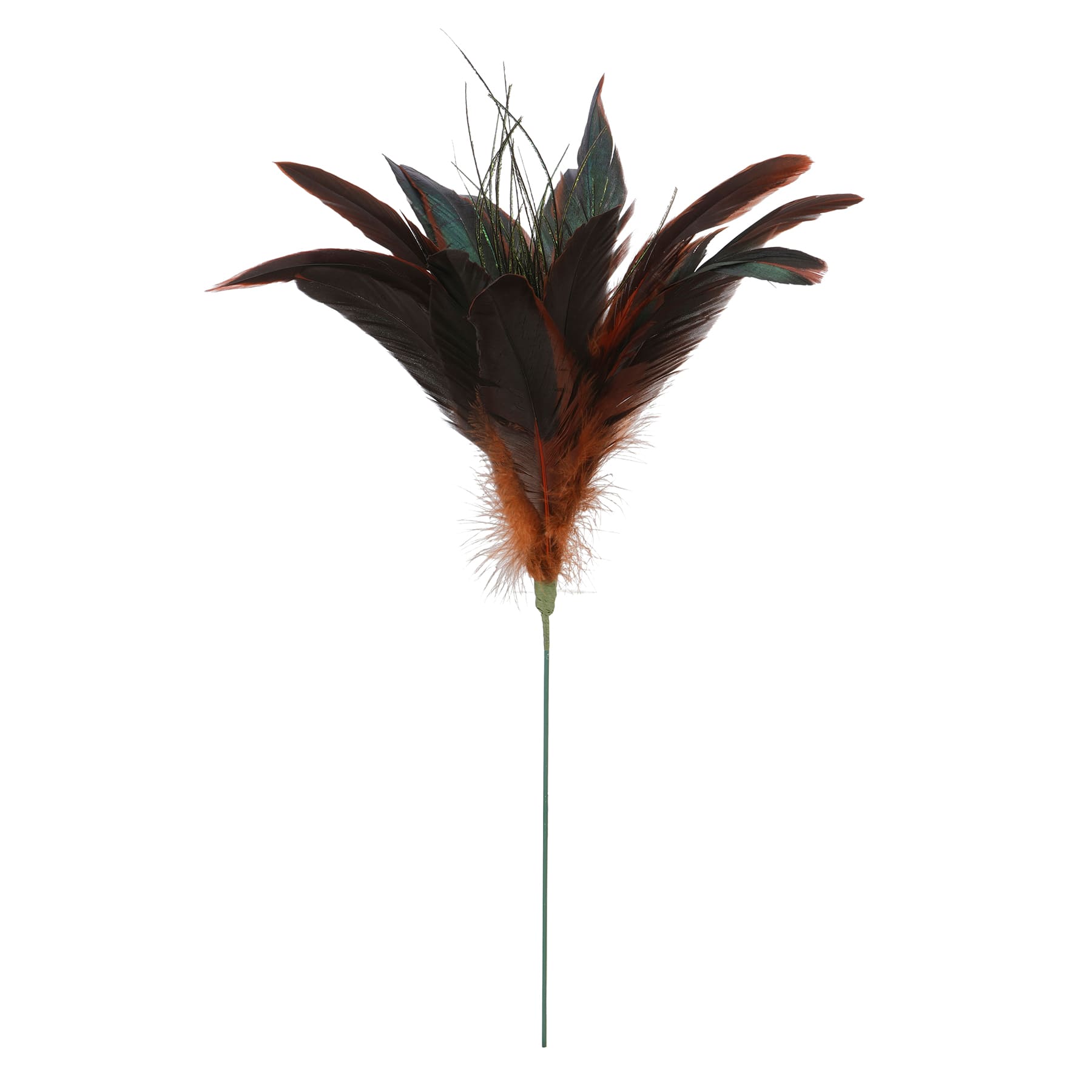 Chocolate Peacock Feather Pick by Ashland&#xAE;